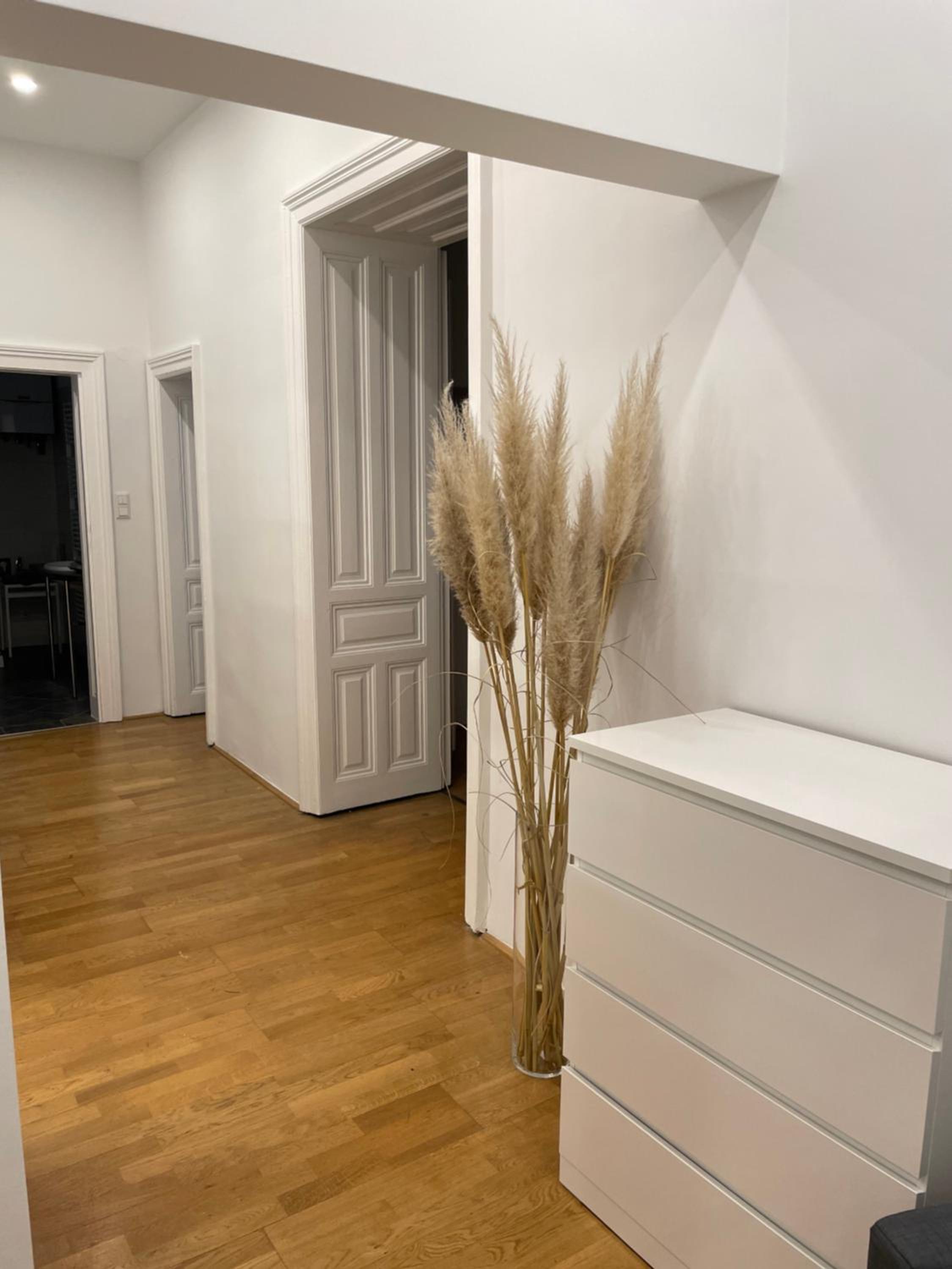 100m2 Apartment Nähe 1010 Wien