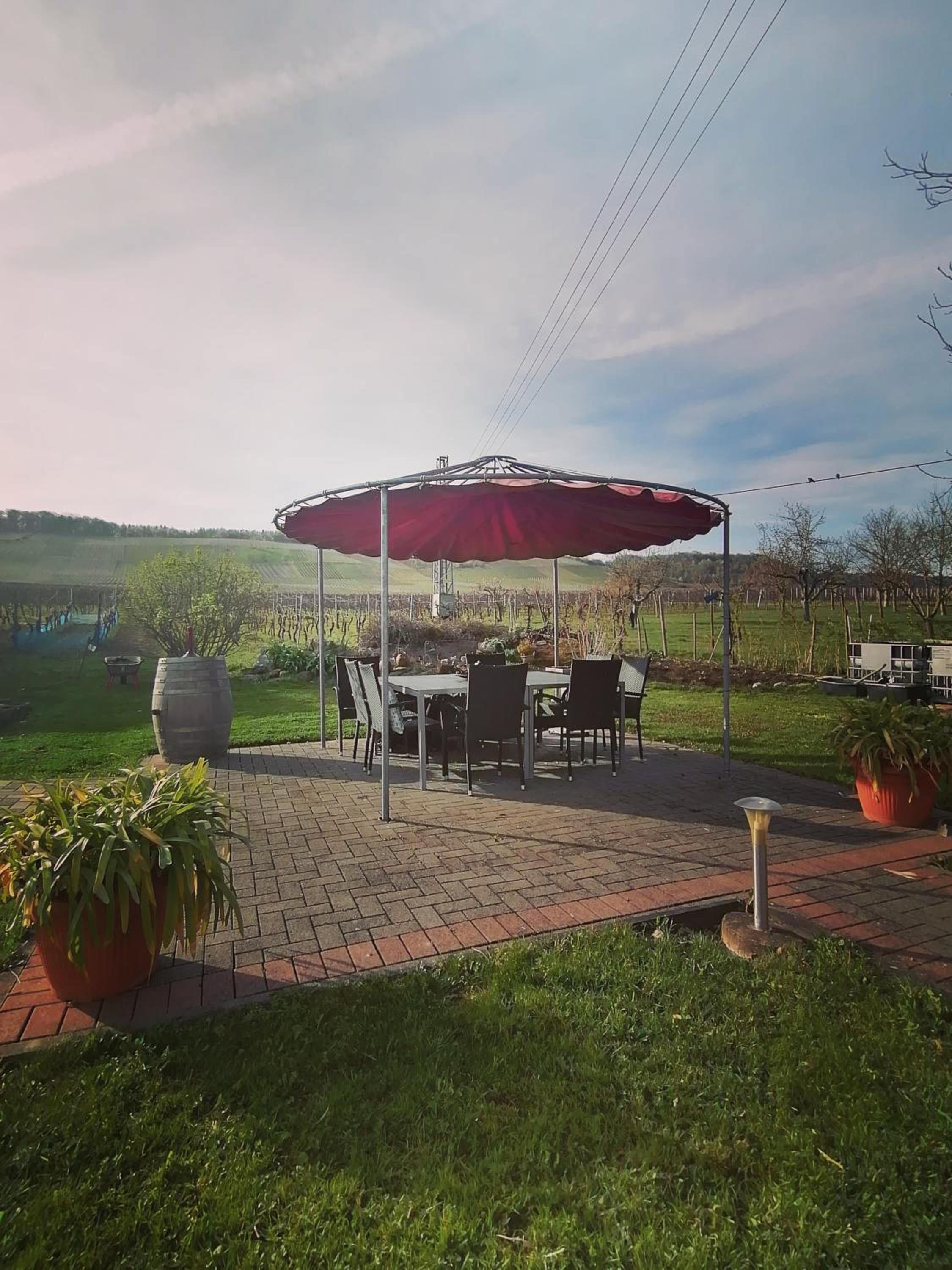 Weingut Tiliahof
