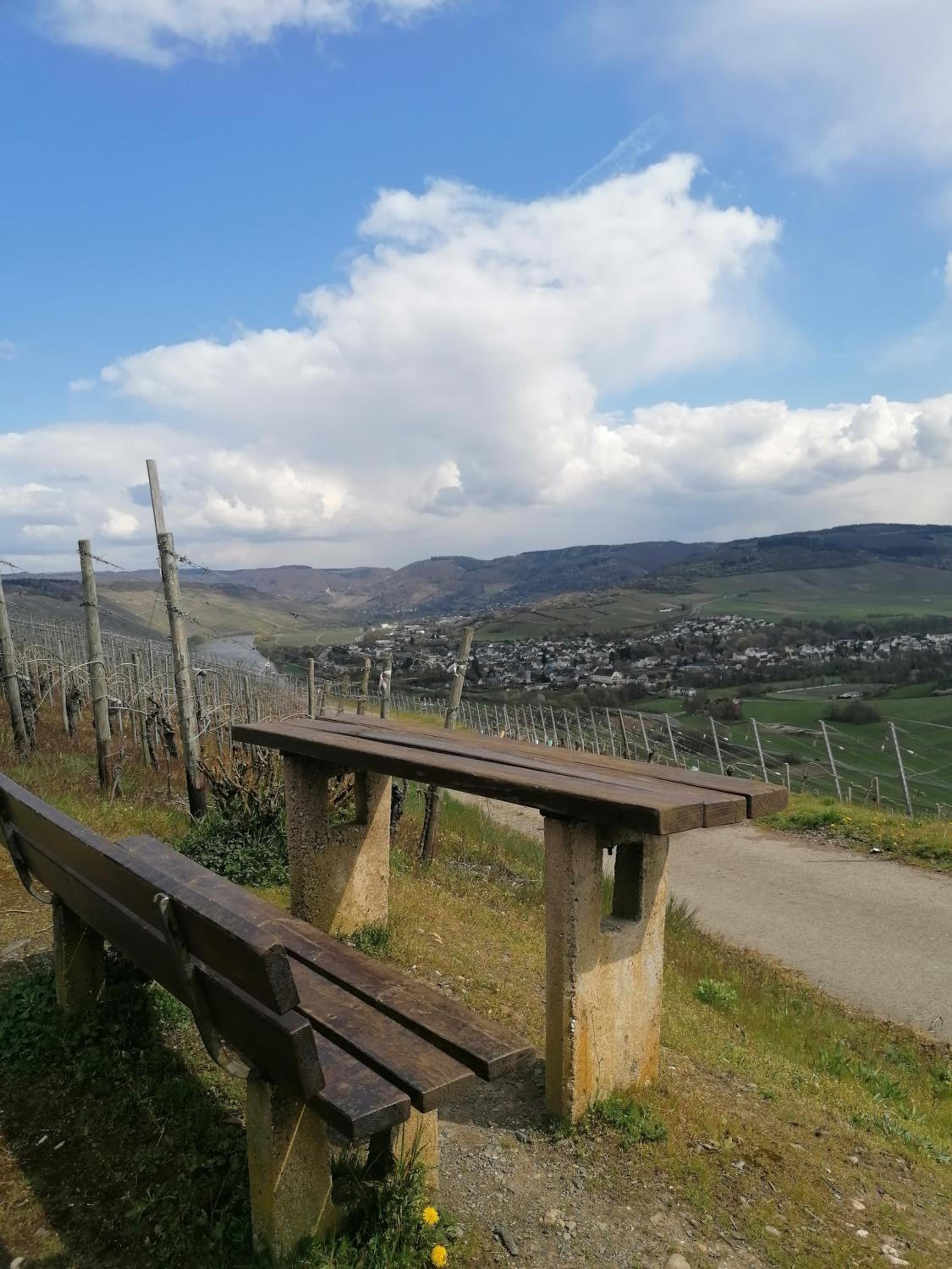 Weingut Tiliahof