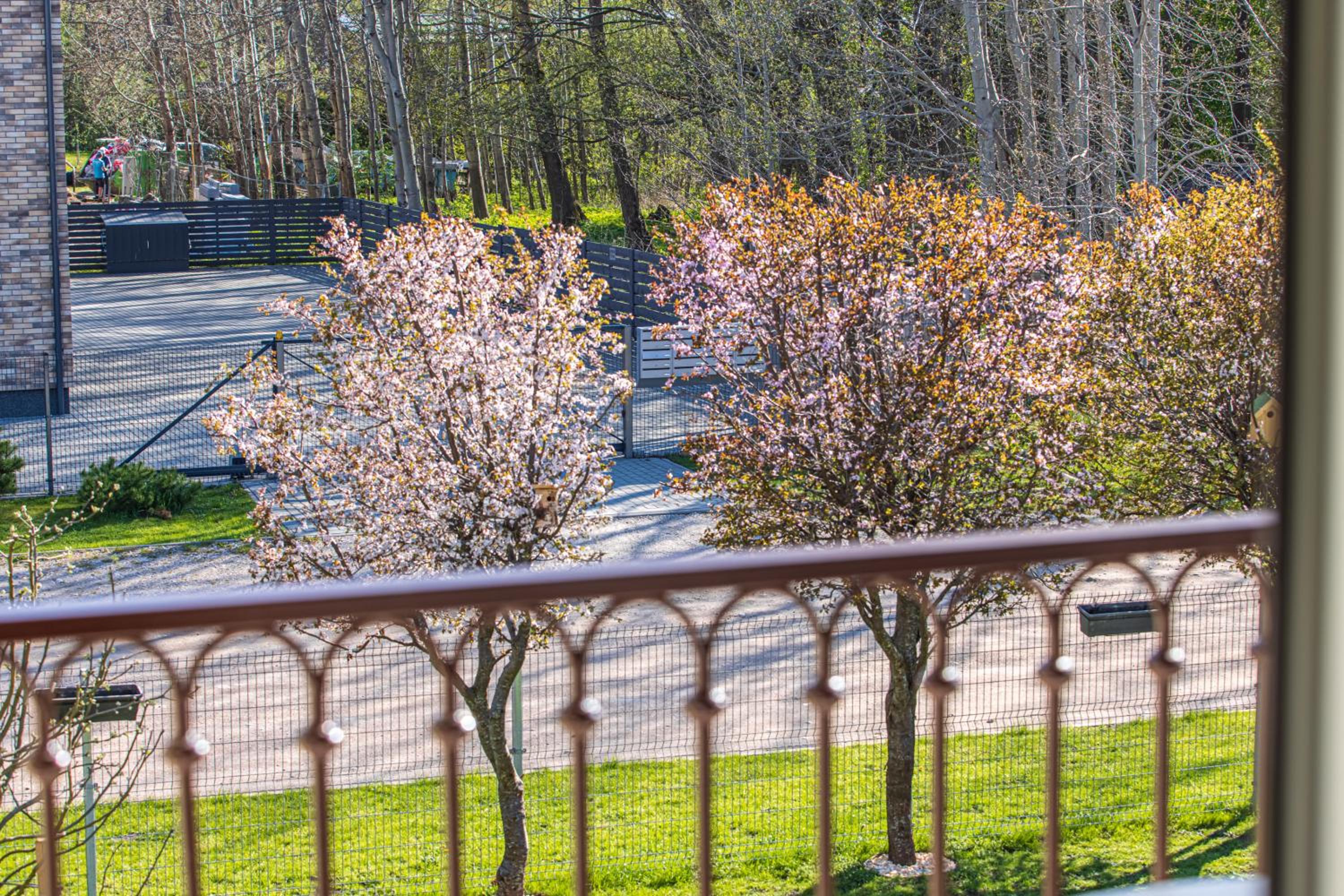 Sakura_INN Palanga view 2
