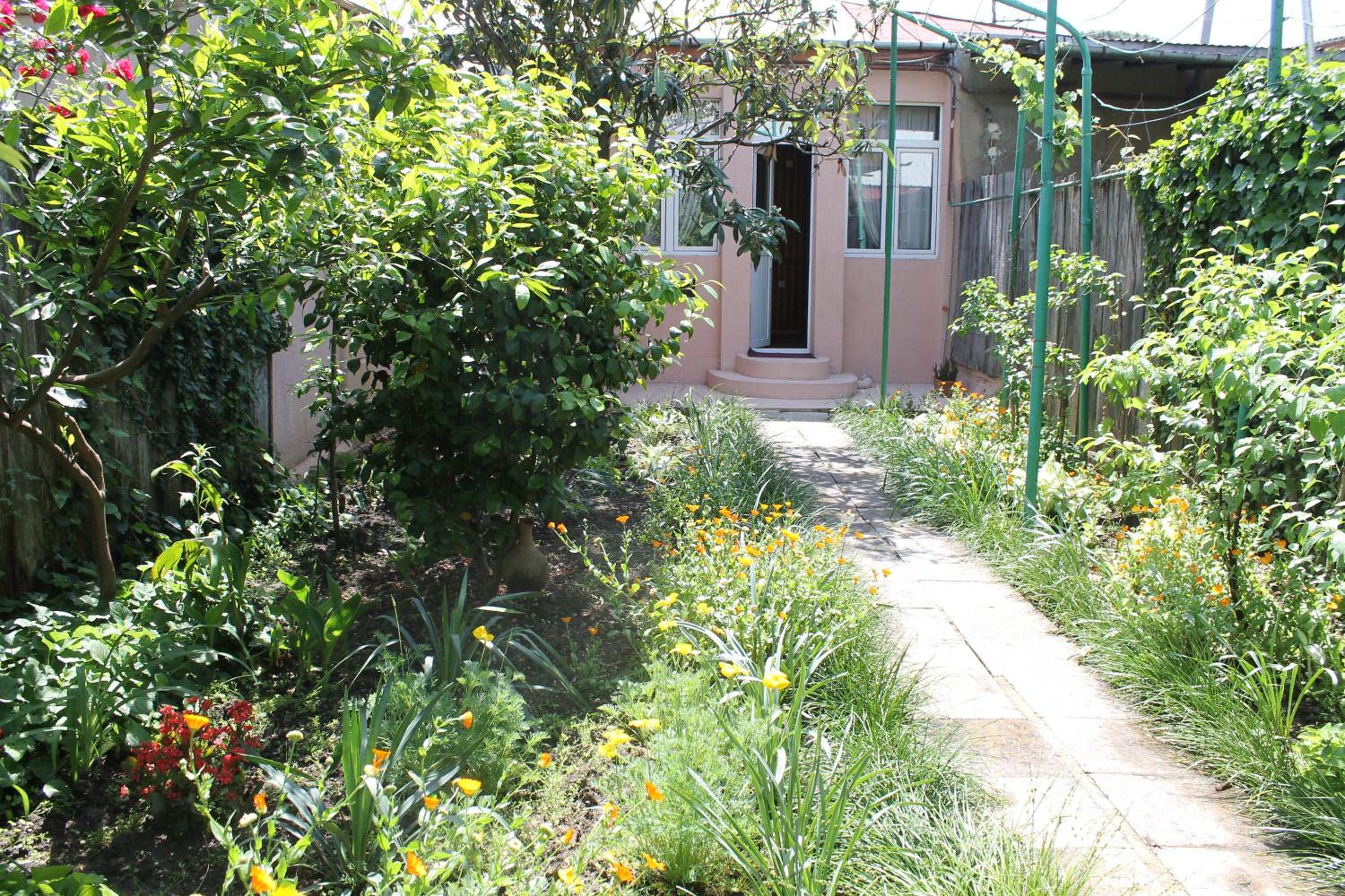 Photo 14