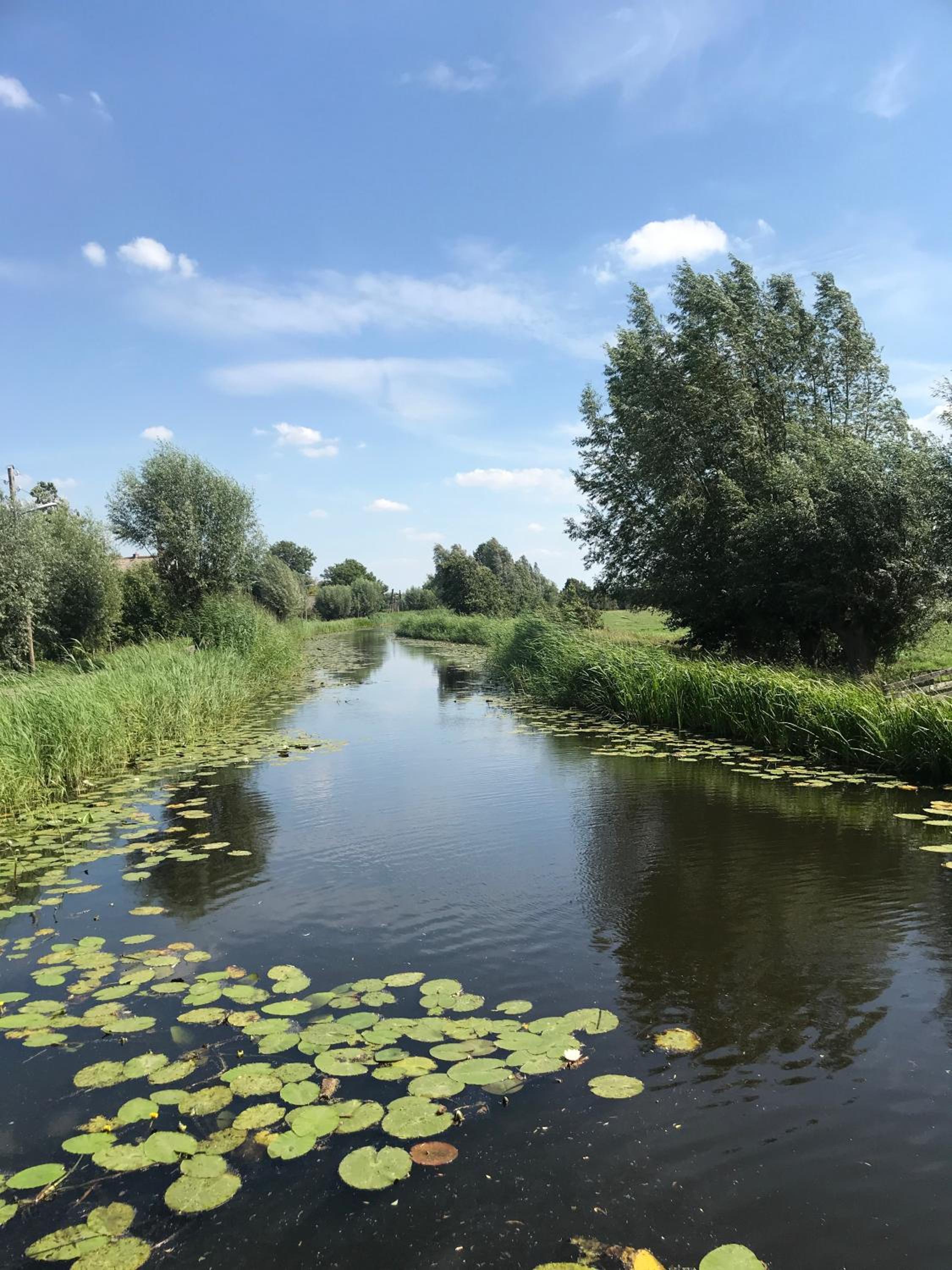 De Kopstoof, photo 46
