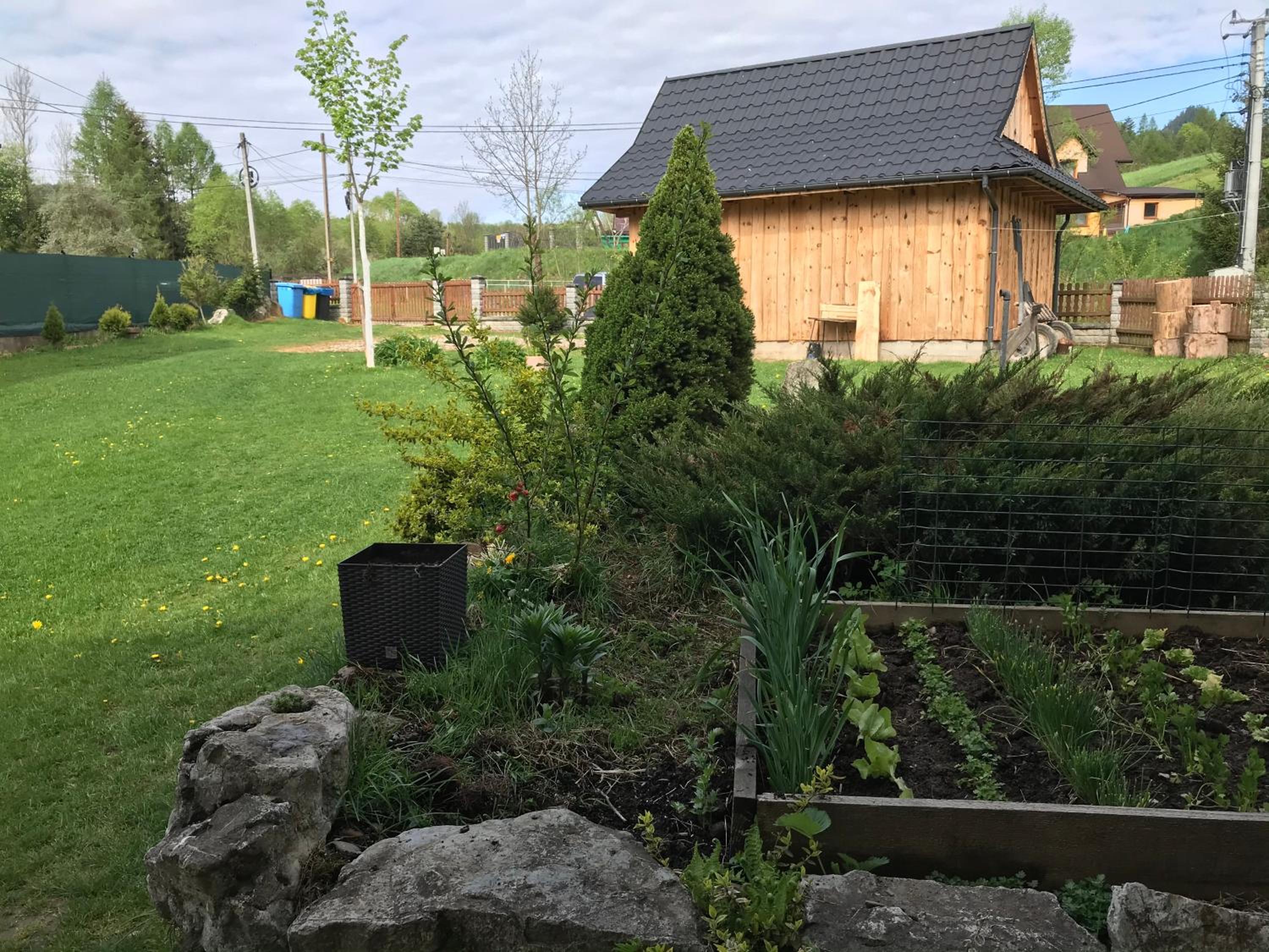 Photo 8