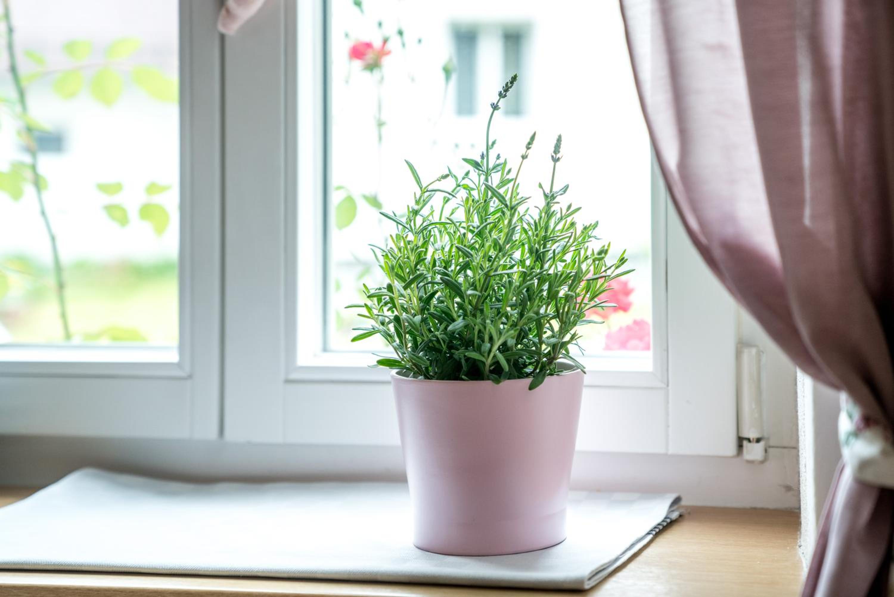 Family Hideaway mit Baby- und Kleinkindausstattung