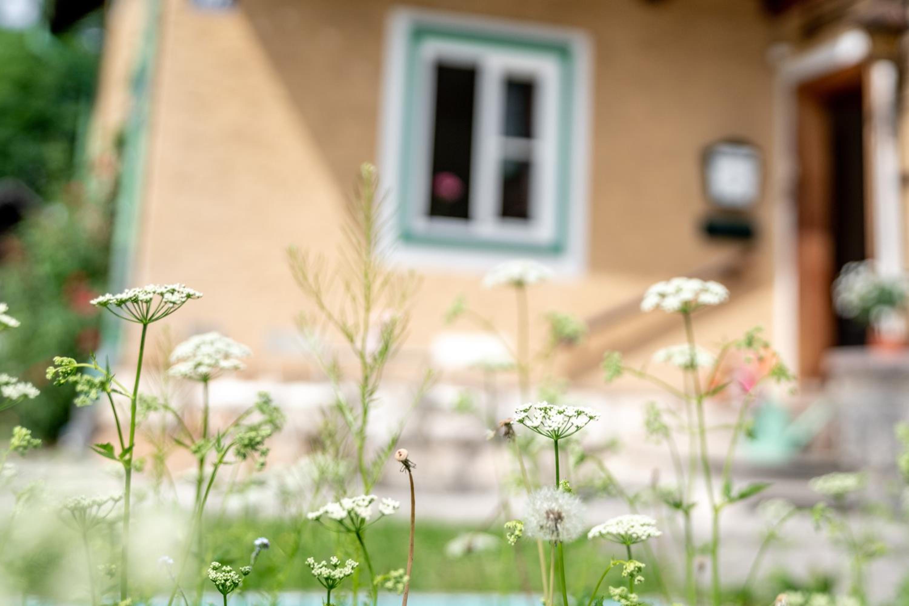 Family Hideaway mit Baby- und Kleinkindausstattung