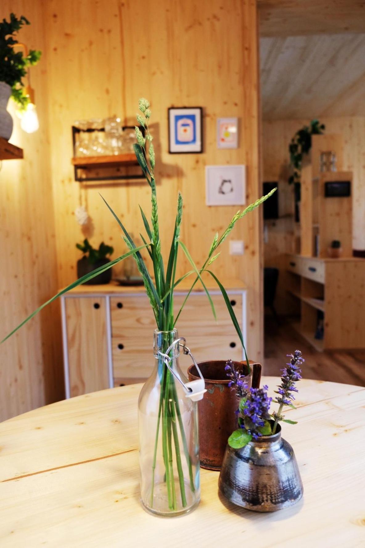HJEM - Tiny Homes direkt am Wald zwischen Allgäu & Bodensee