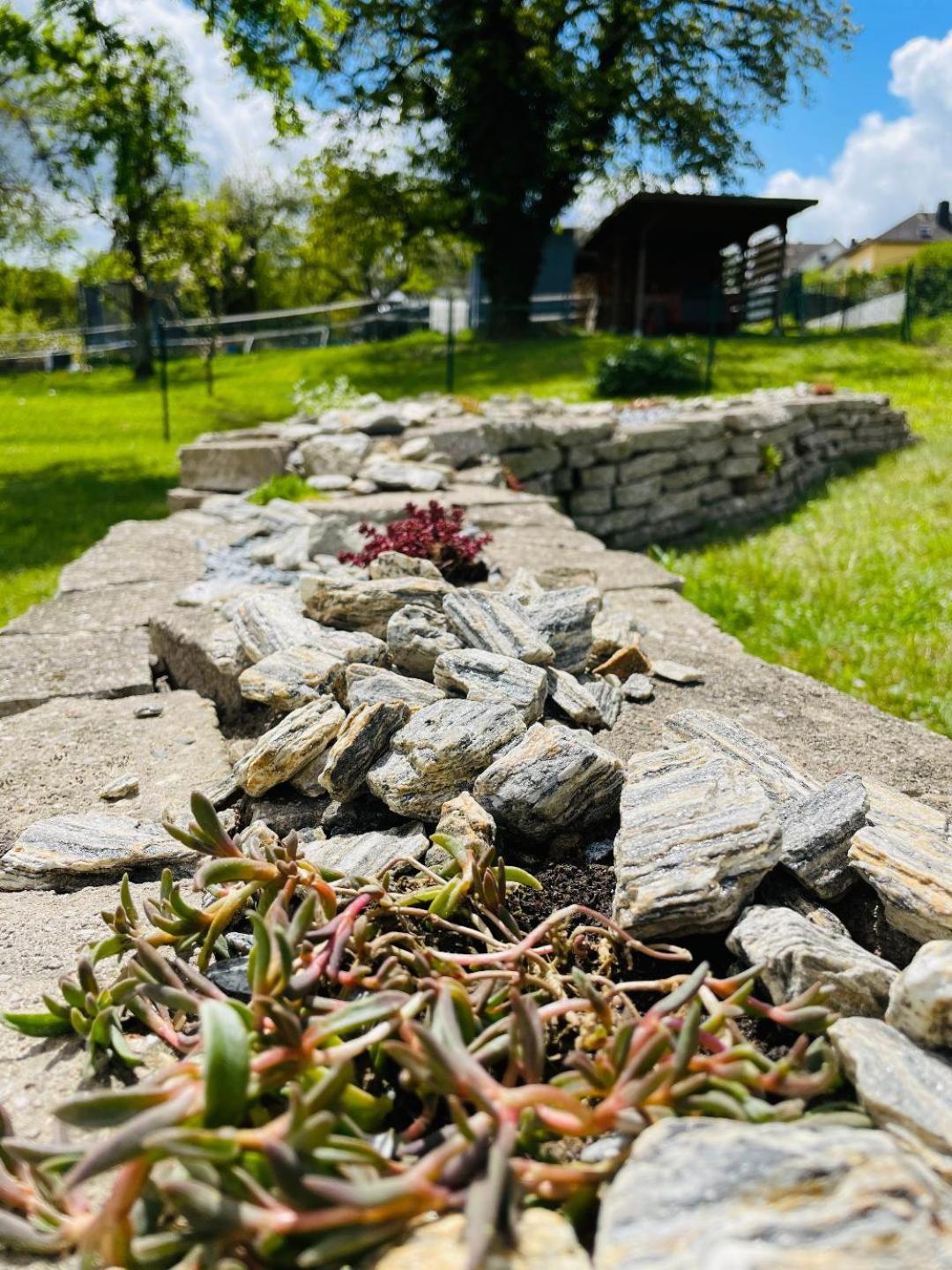 Cosy Home Lorch, das Ferienhaus zwischen Rheingau, Taunus und dem Tal der Loreley view 4