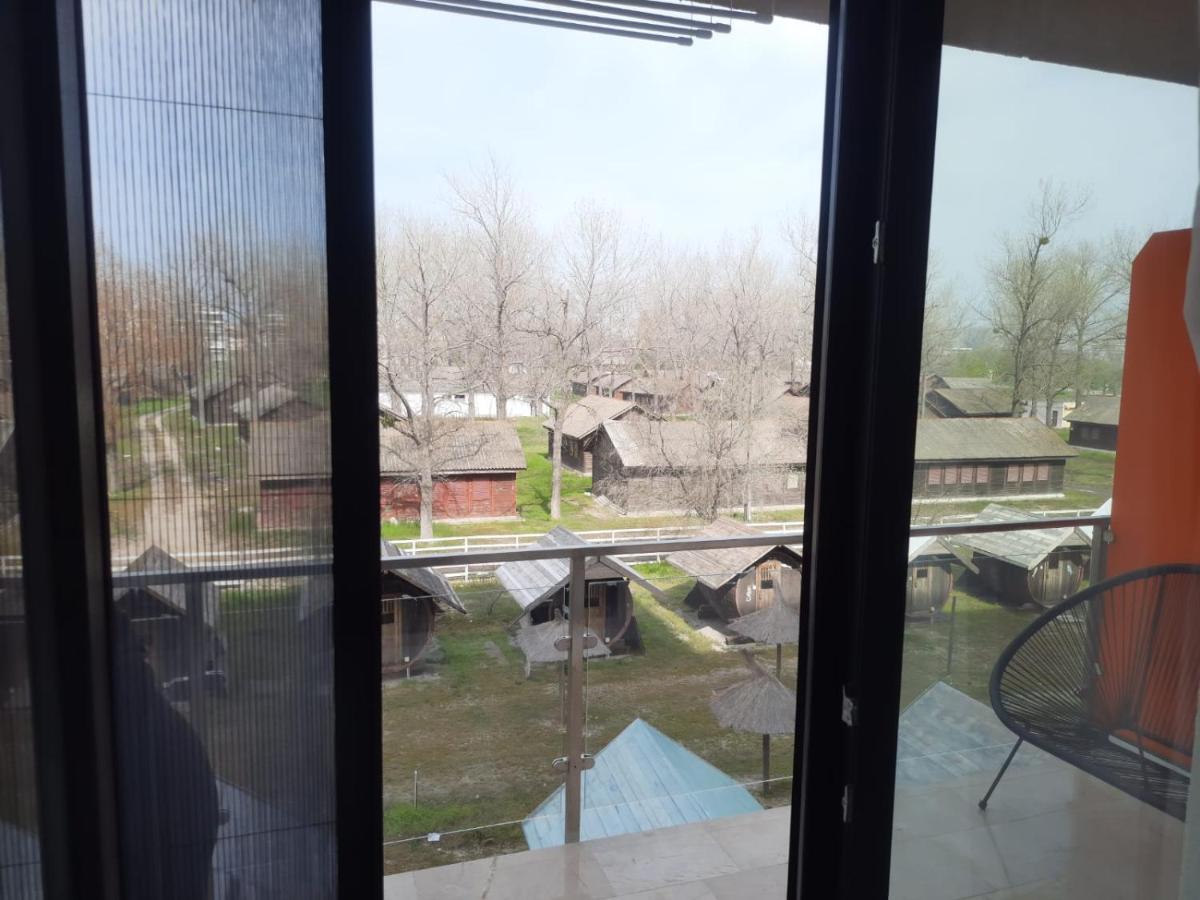 Photo 8
