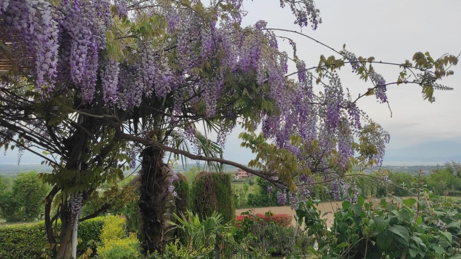 Casa Rosanna view 5