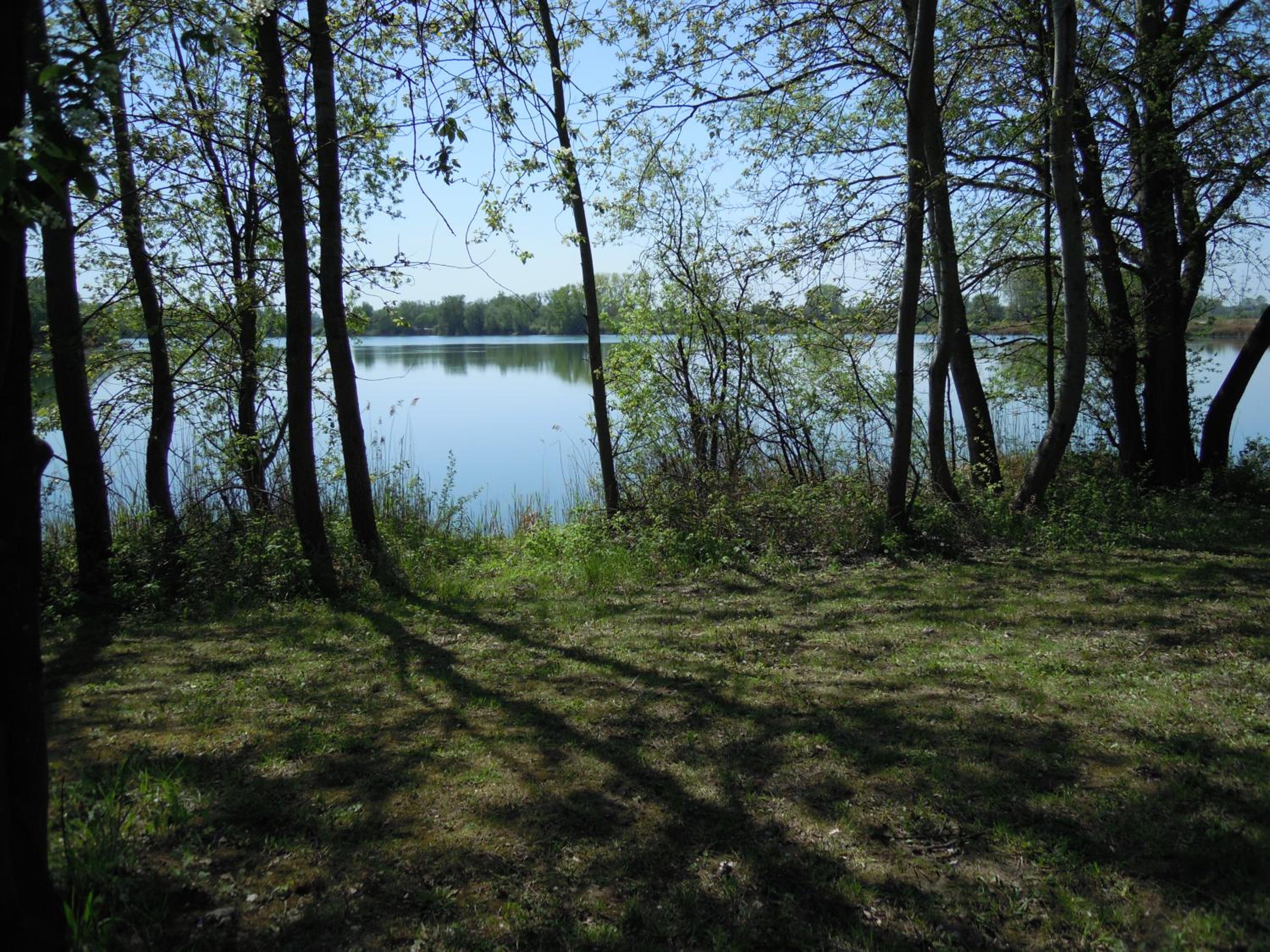 Photo 39