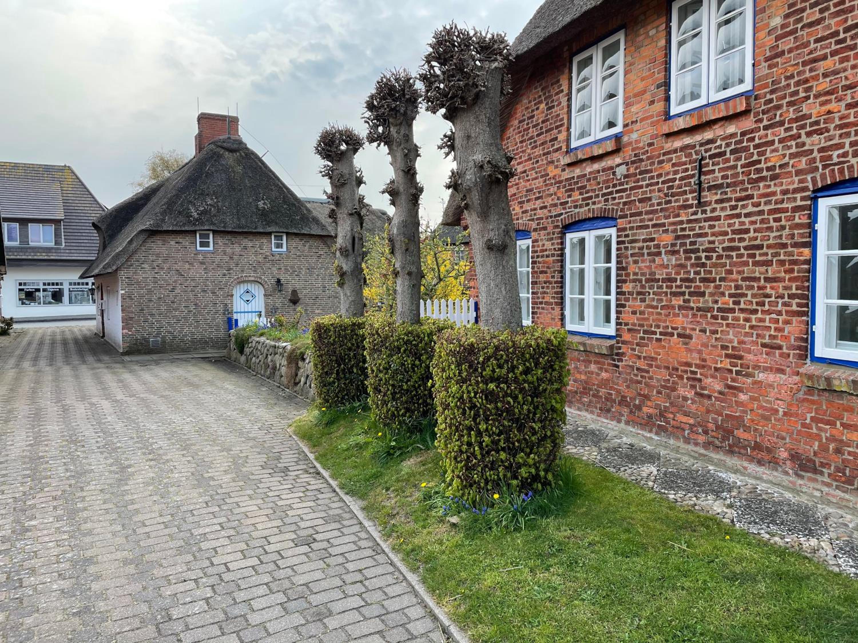 Photo 25