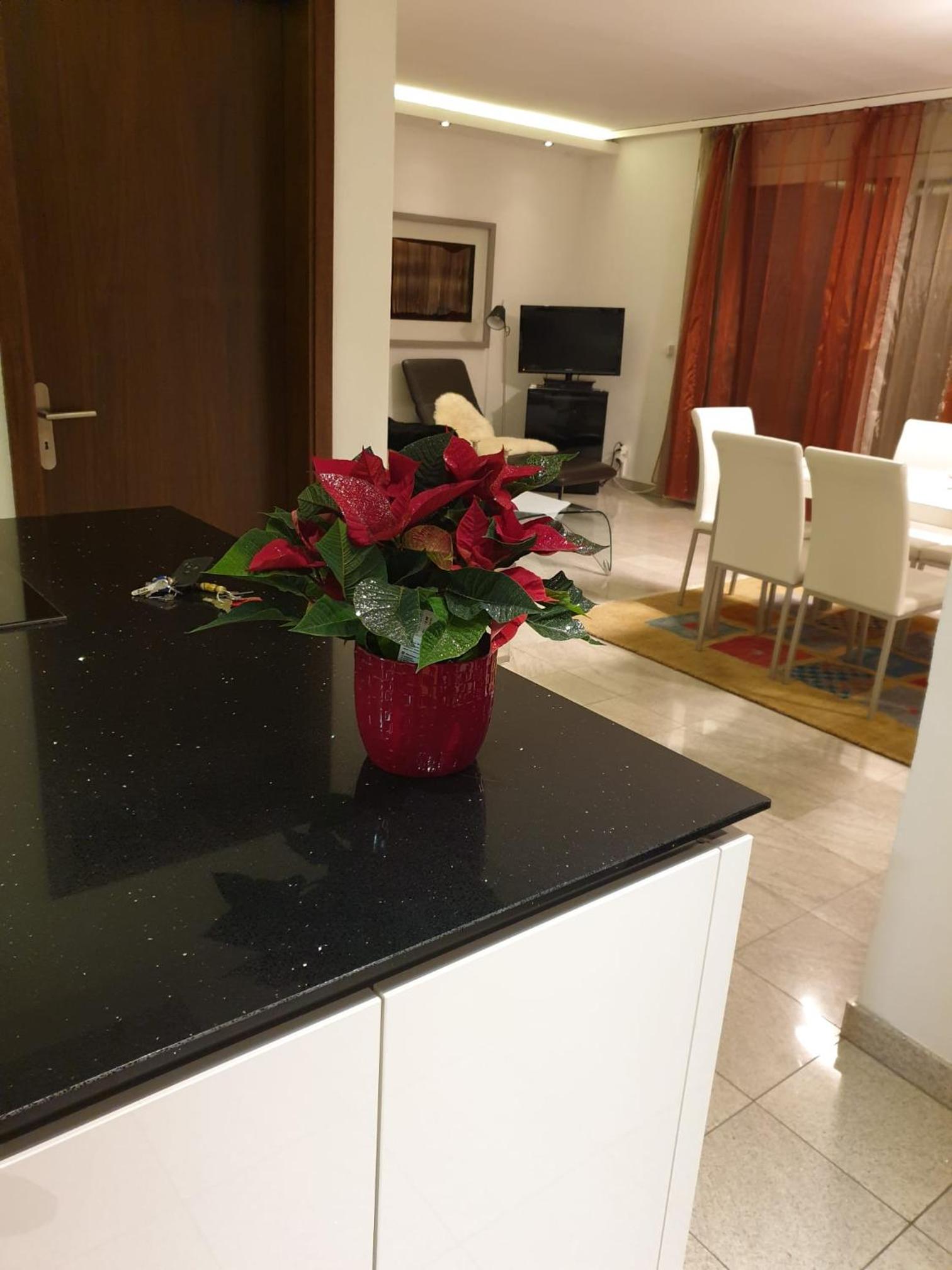 Appartement Novotna view 3