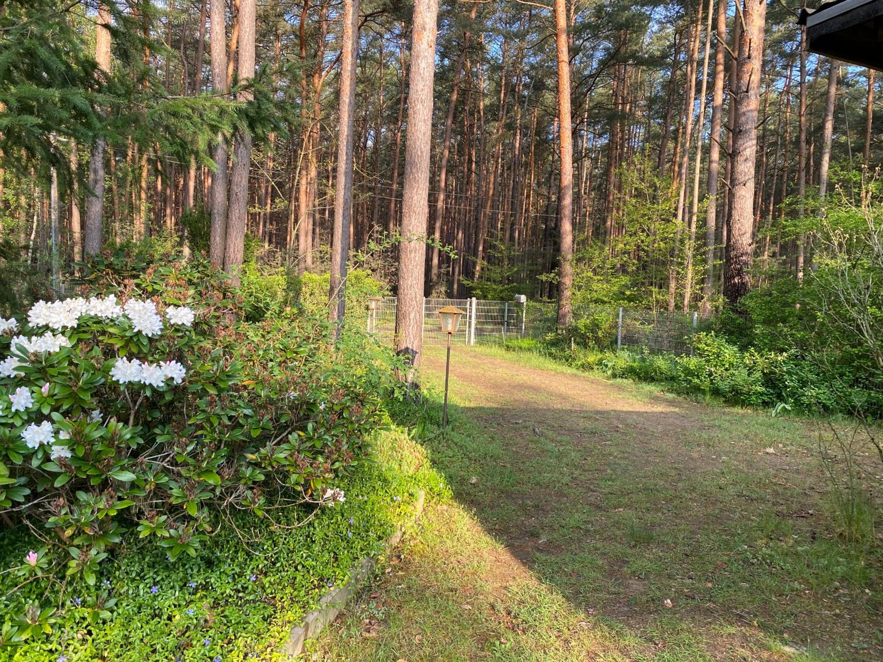 Ferienhaus im Wald