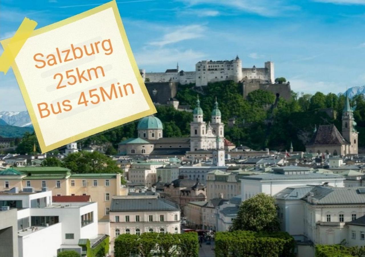 G & H Ferienwohnungen Appartement Almrausch