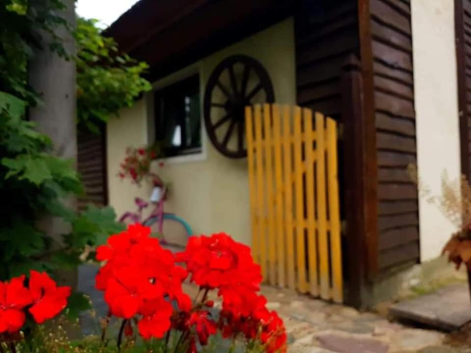 PO NENDRIŲ STOGU view 4