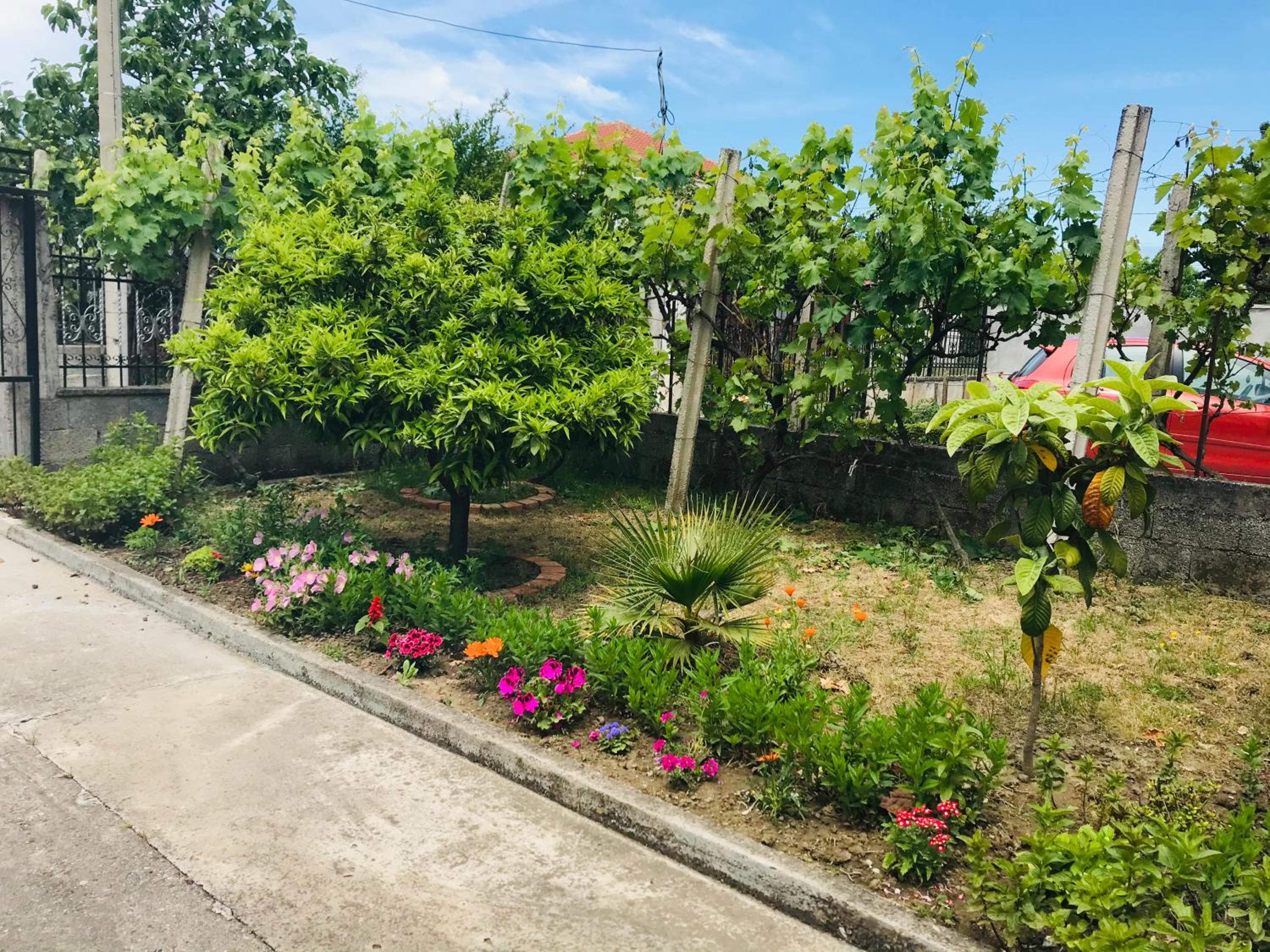 Villa Ajla