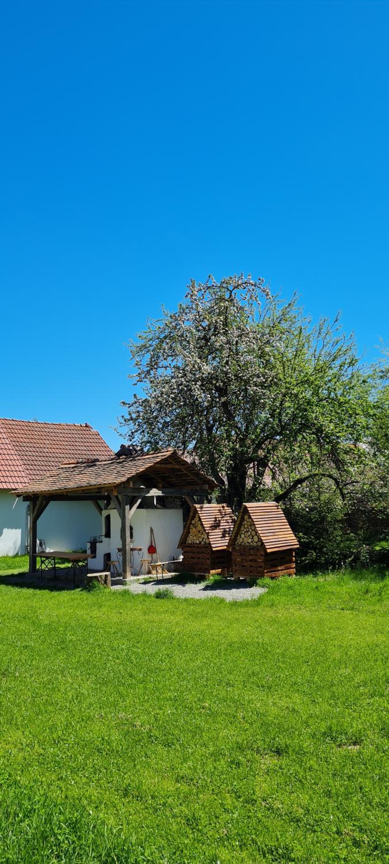 Photo 28