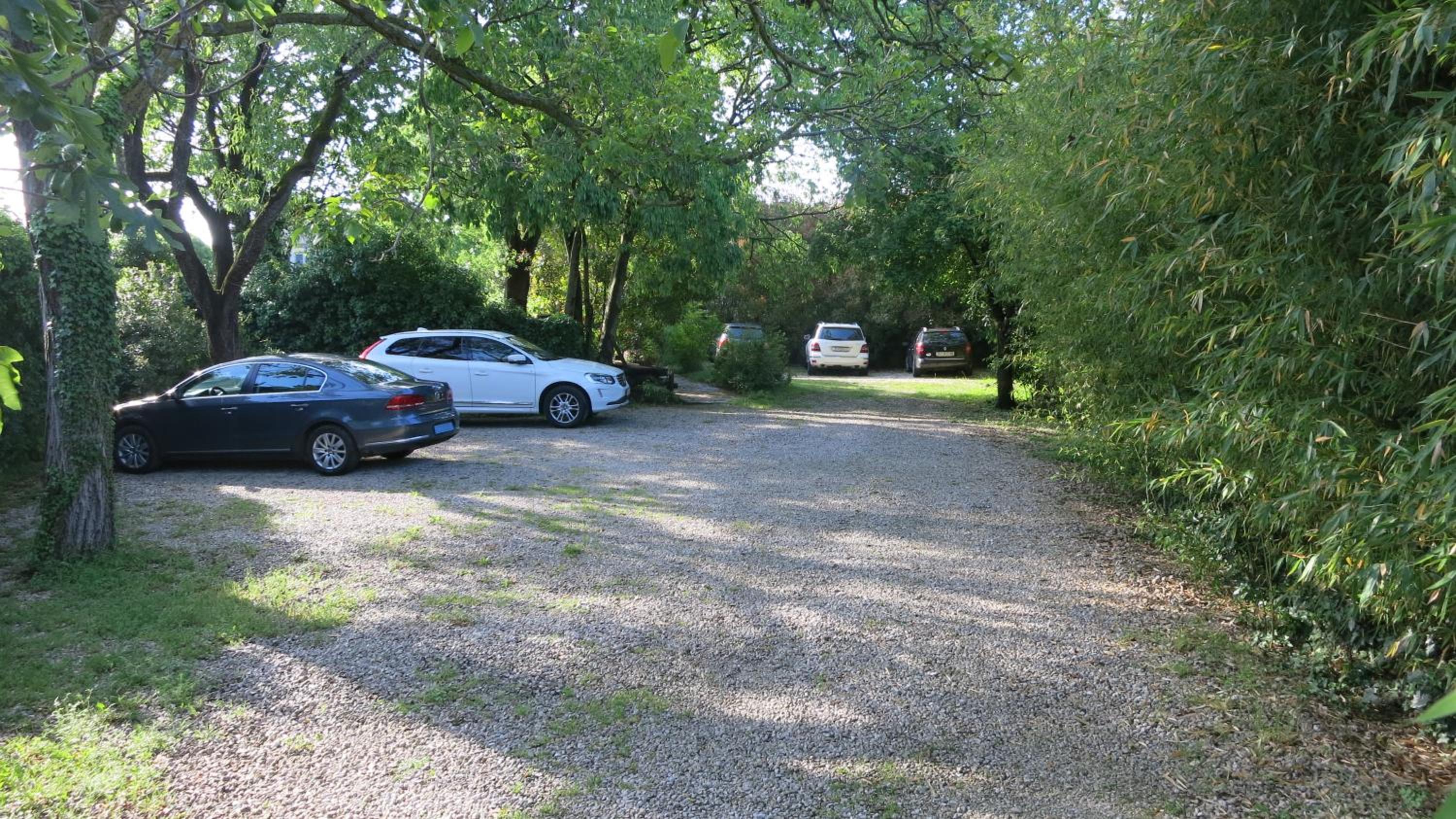 Photo 41