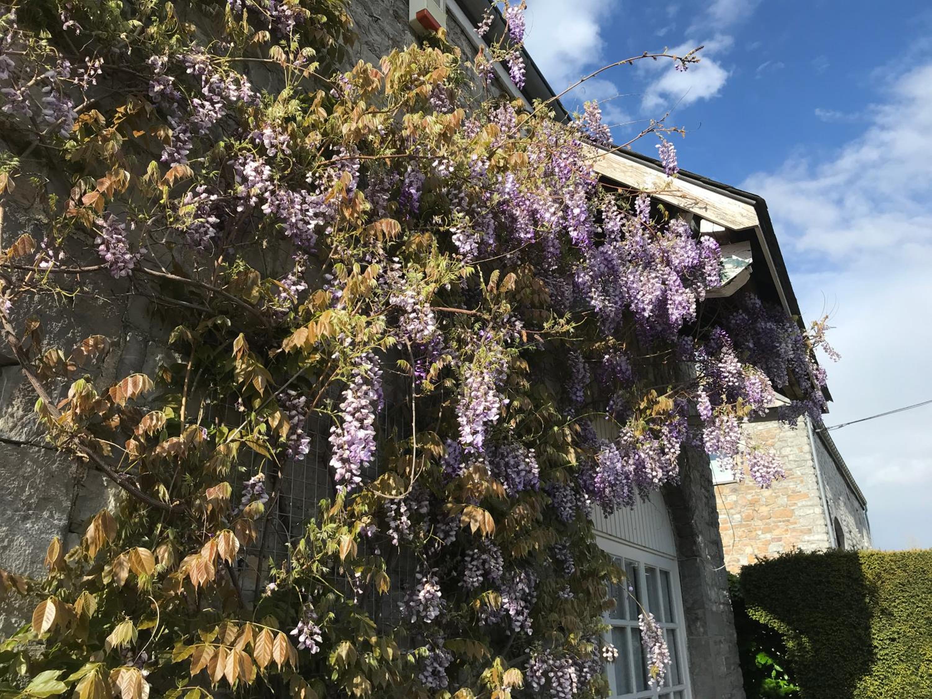 B&B La Buissonniere