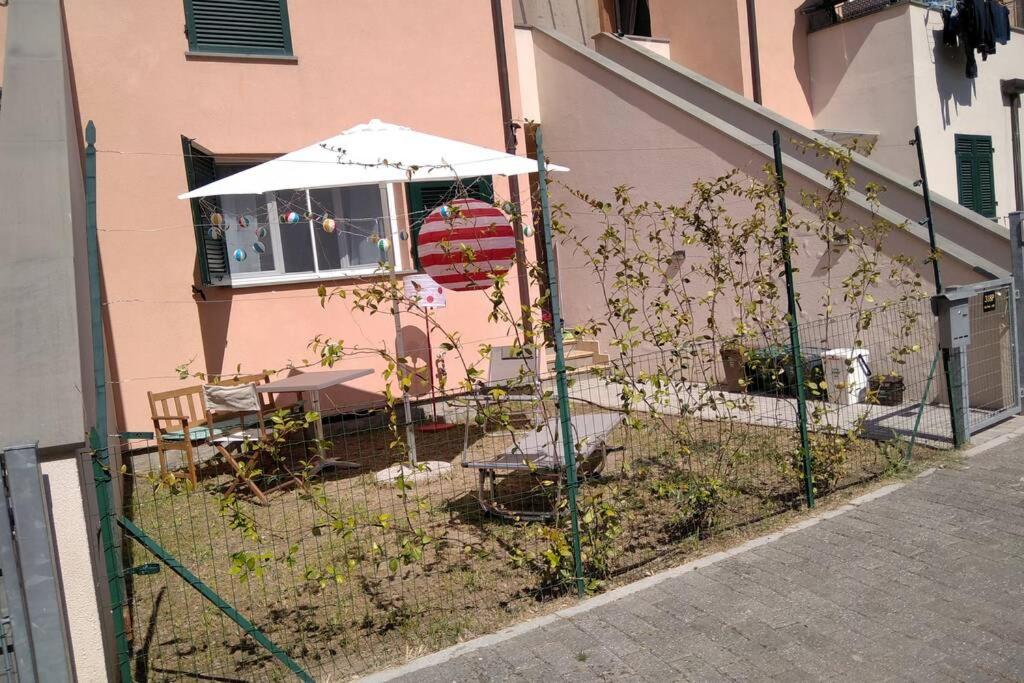 Photo 24
