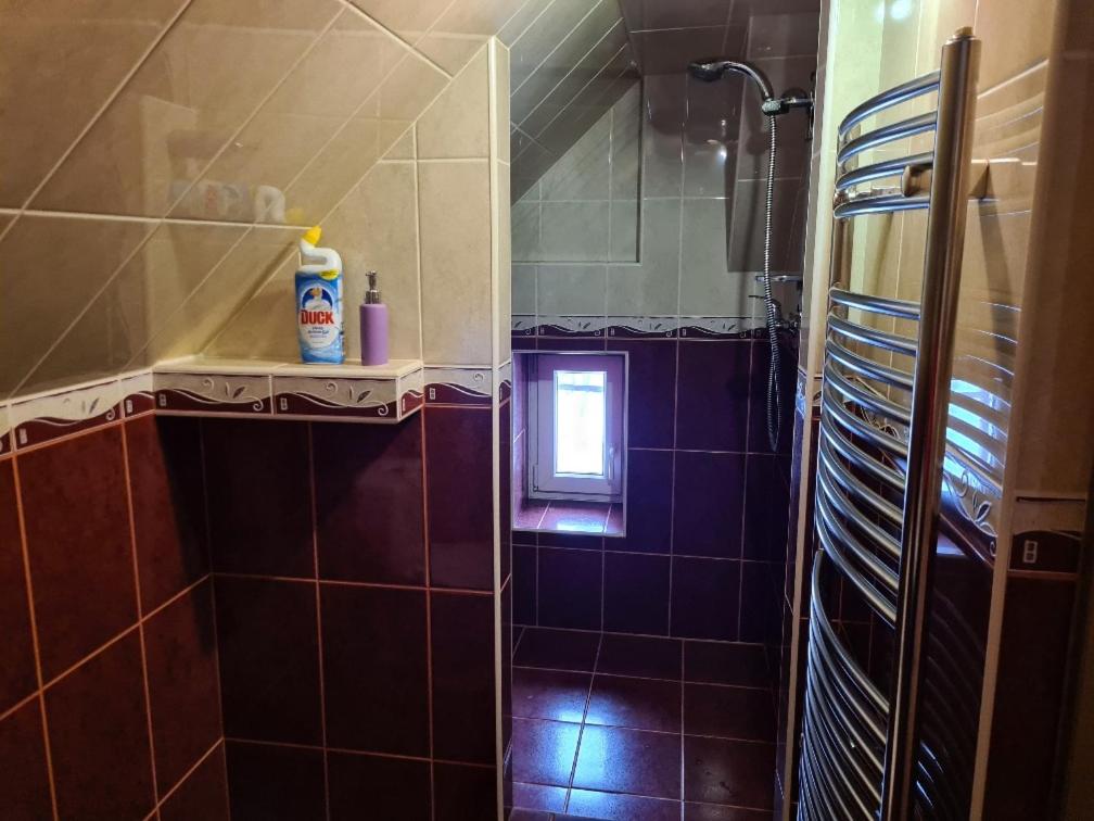 HORSKÝ PENZION U SPLAVU