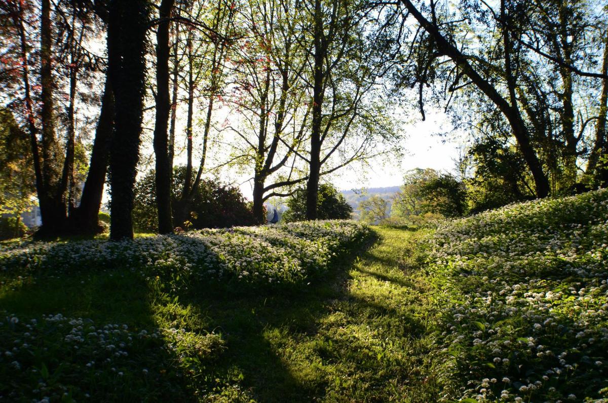 Photo 45