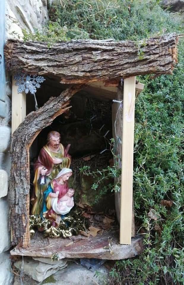 Photo 55