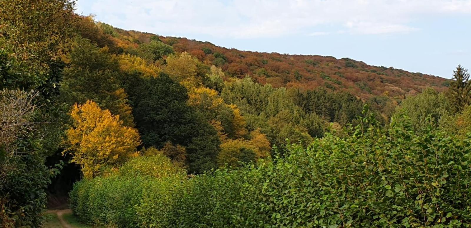 Ferienhaus Chalet Cottage Ourtalblick 2km von Vianden-Lux view 4