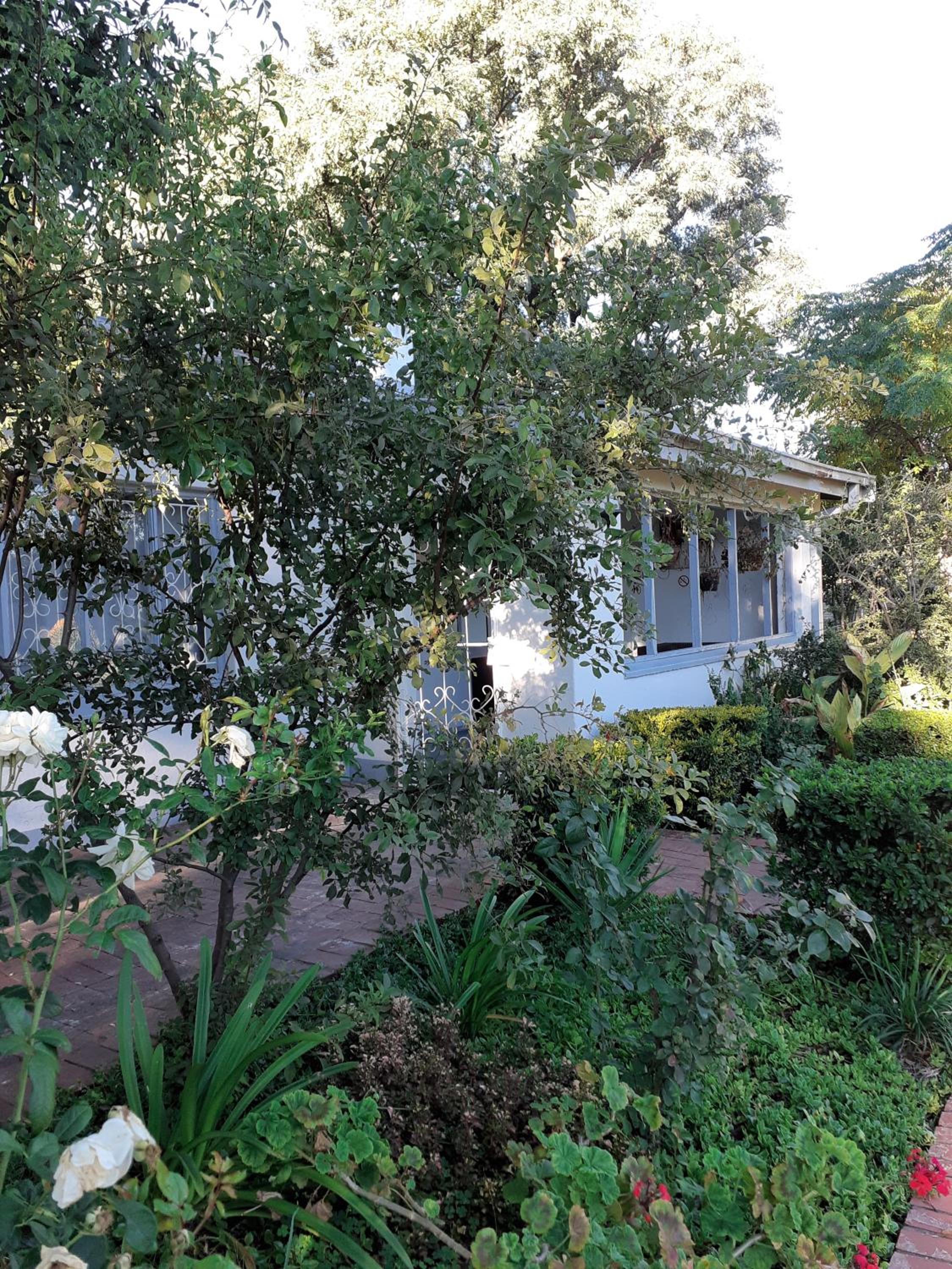 DRIFTWOOD BOUTIQUE BED AND BREAKFAST
