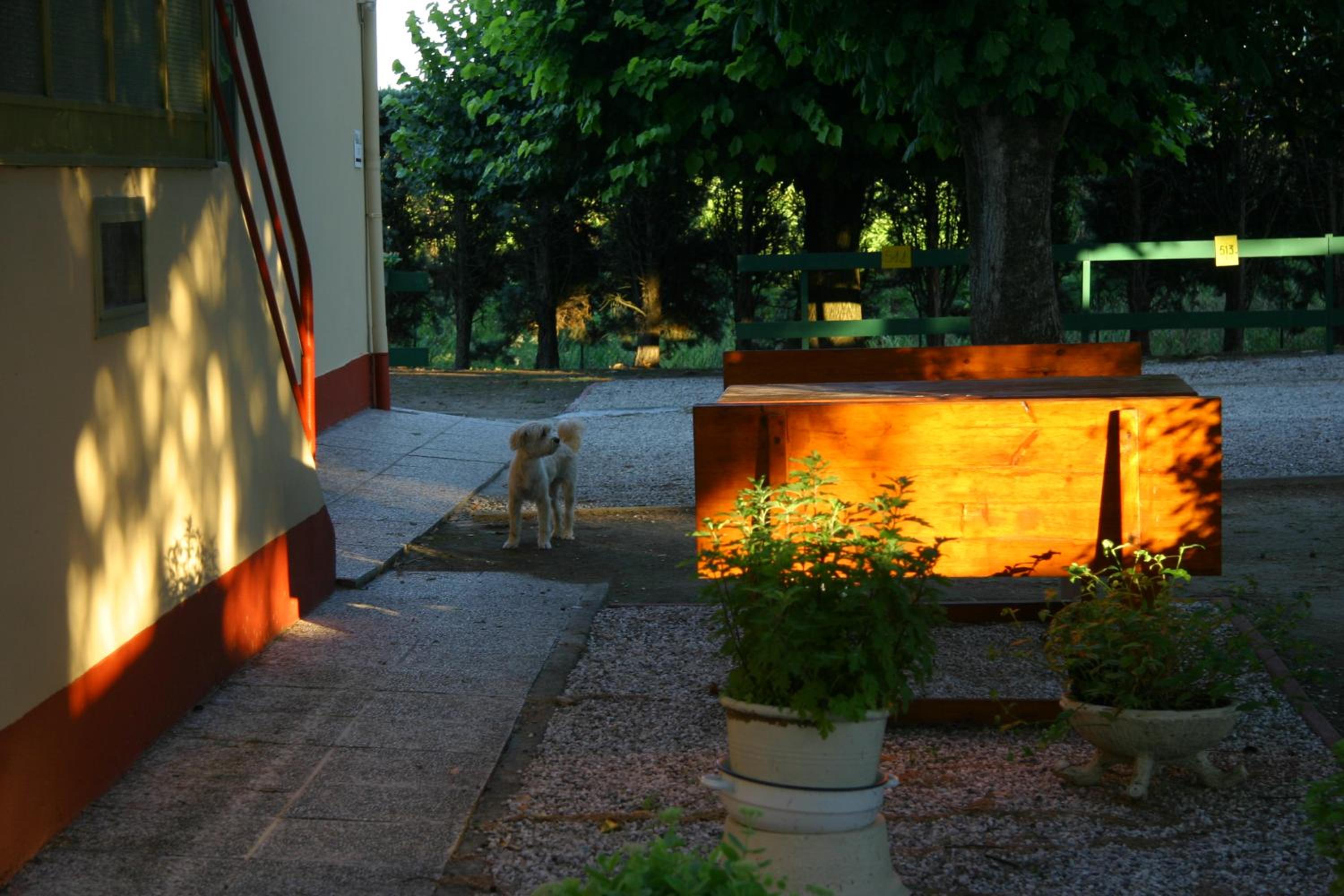 Photo 35