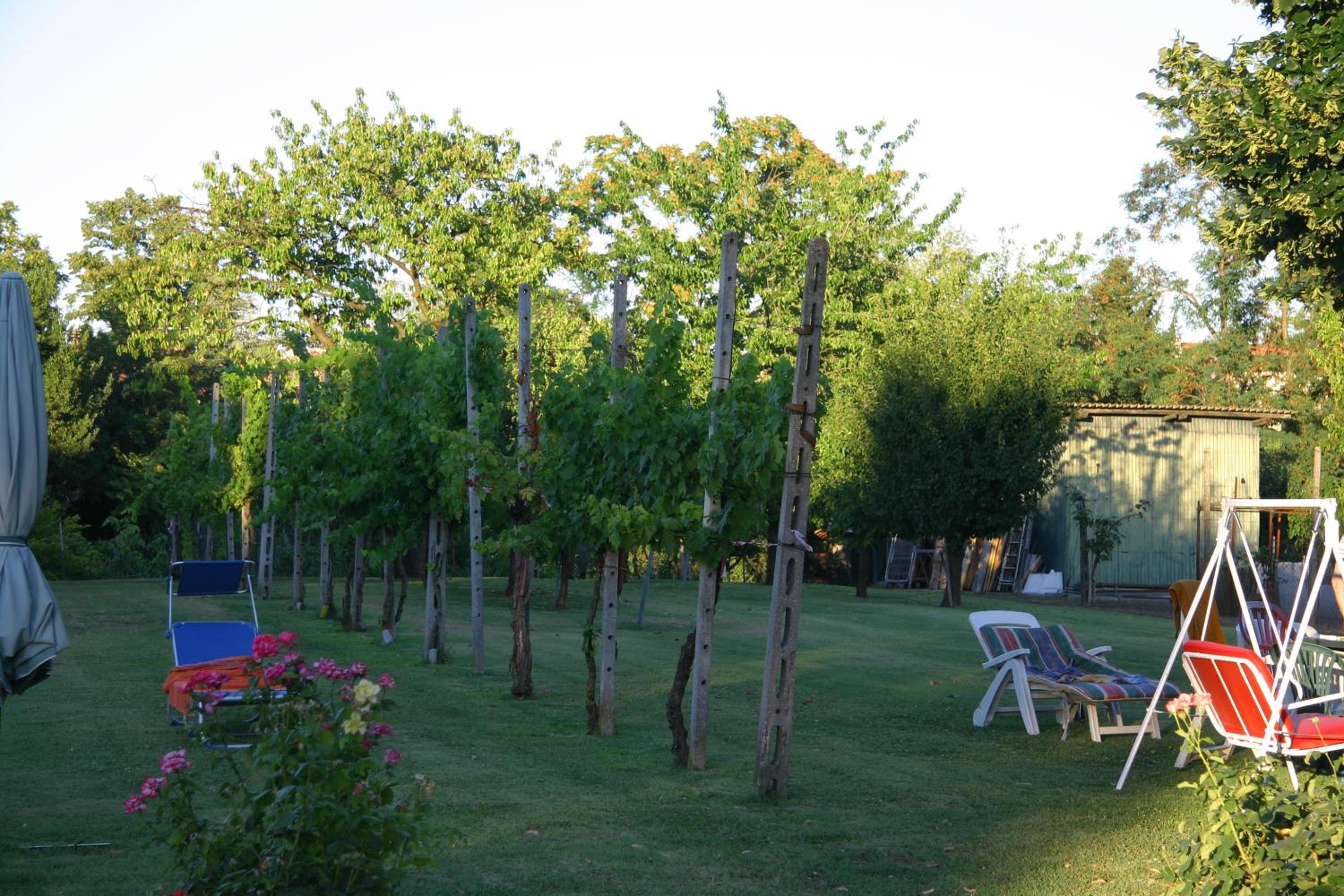 Photo 41