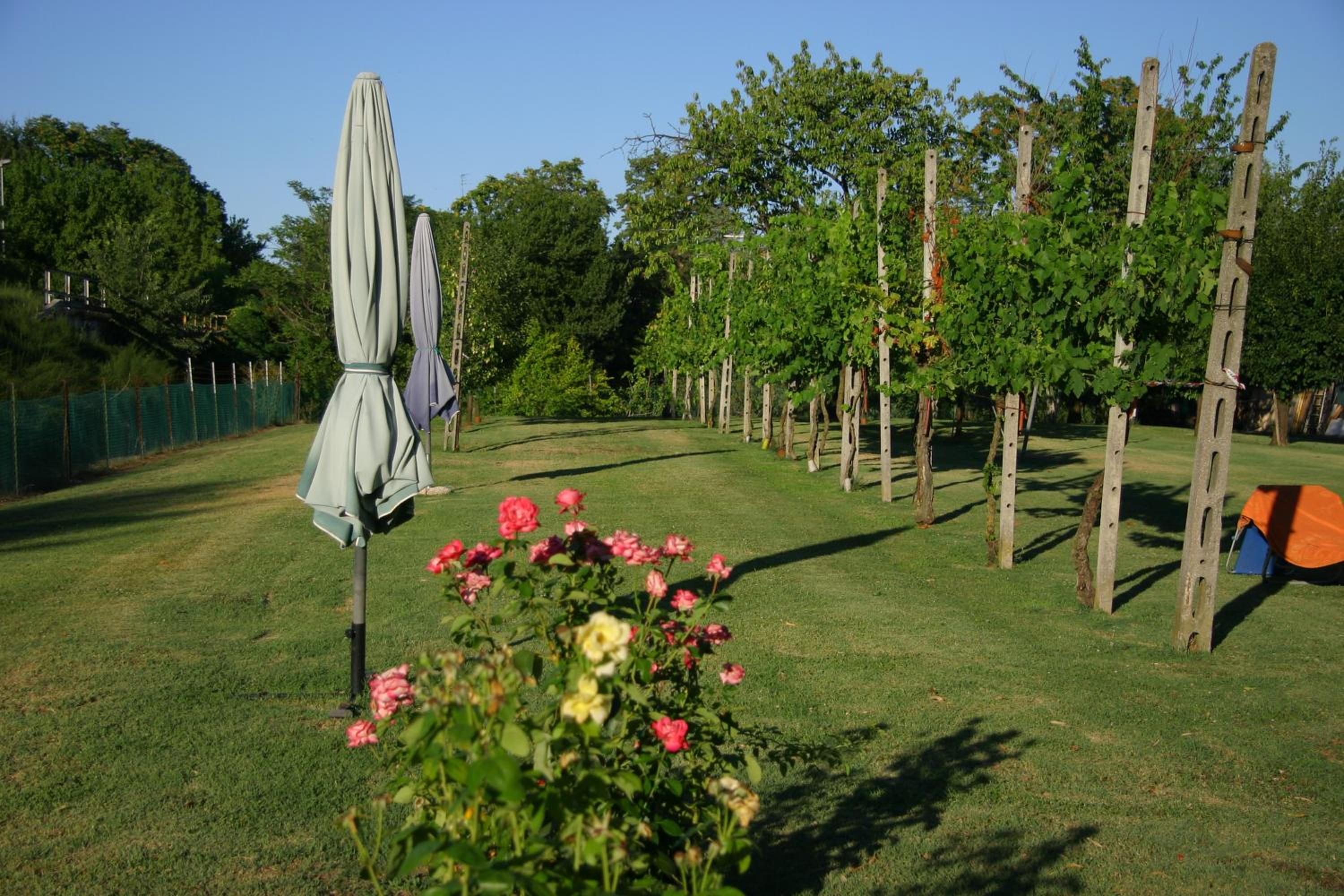 Photo 42