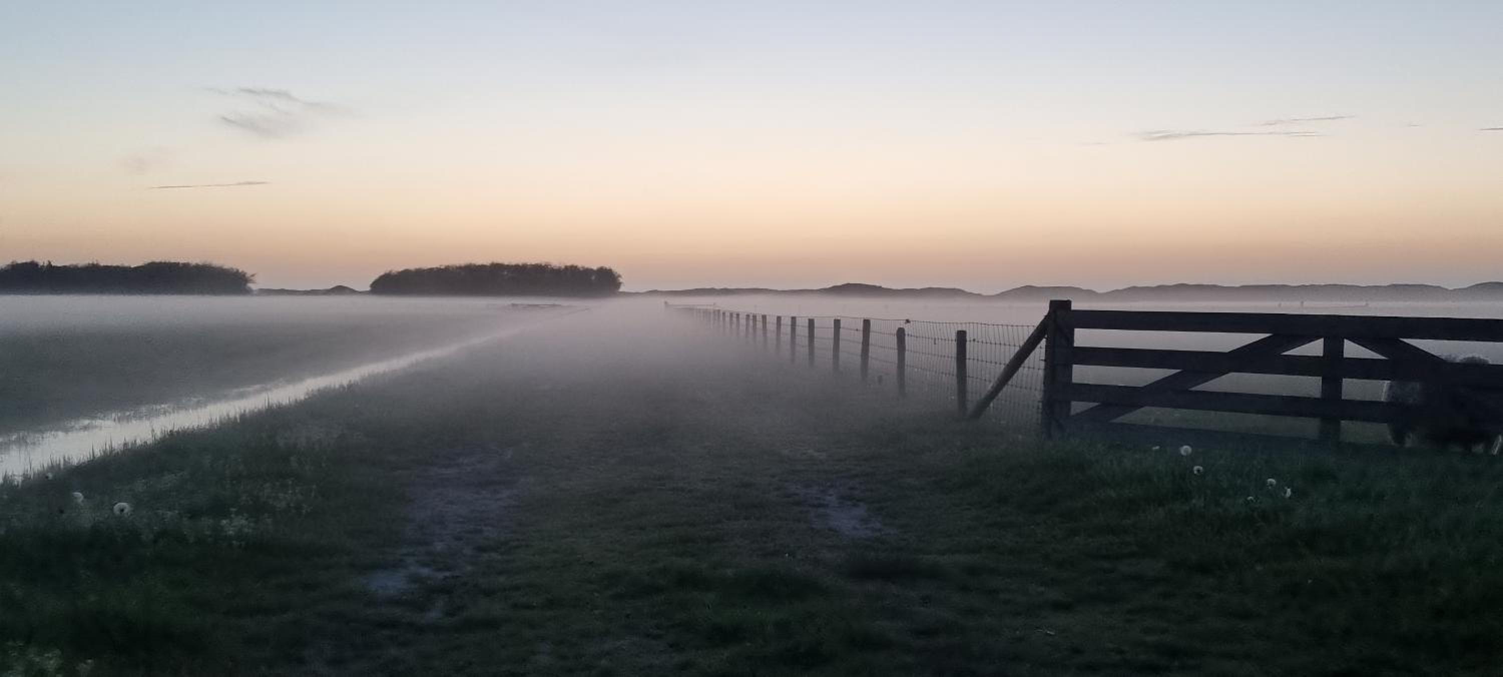 Hunsingo Texel view 3