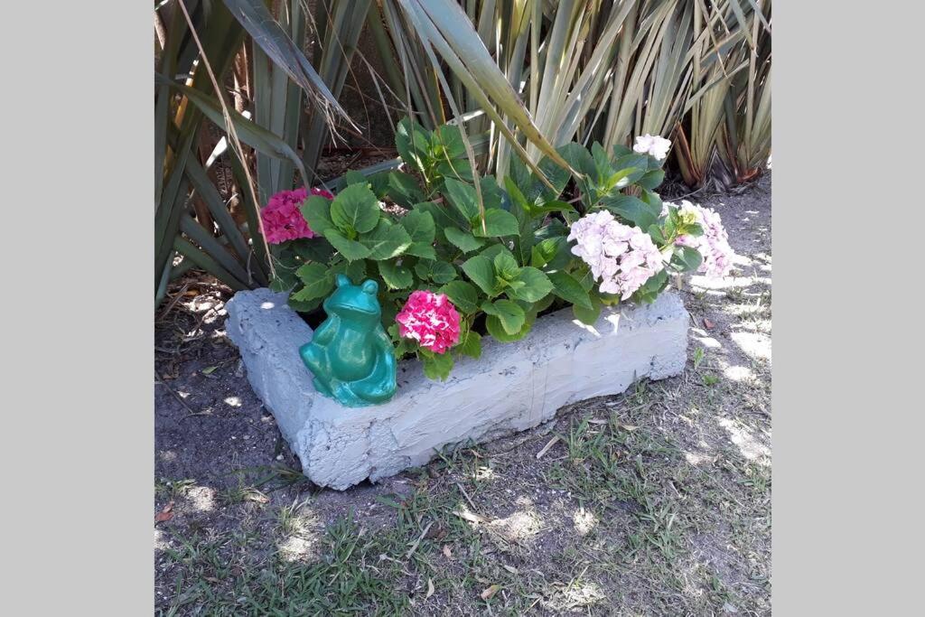 Photo 7