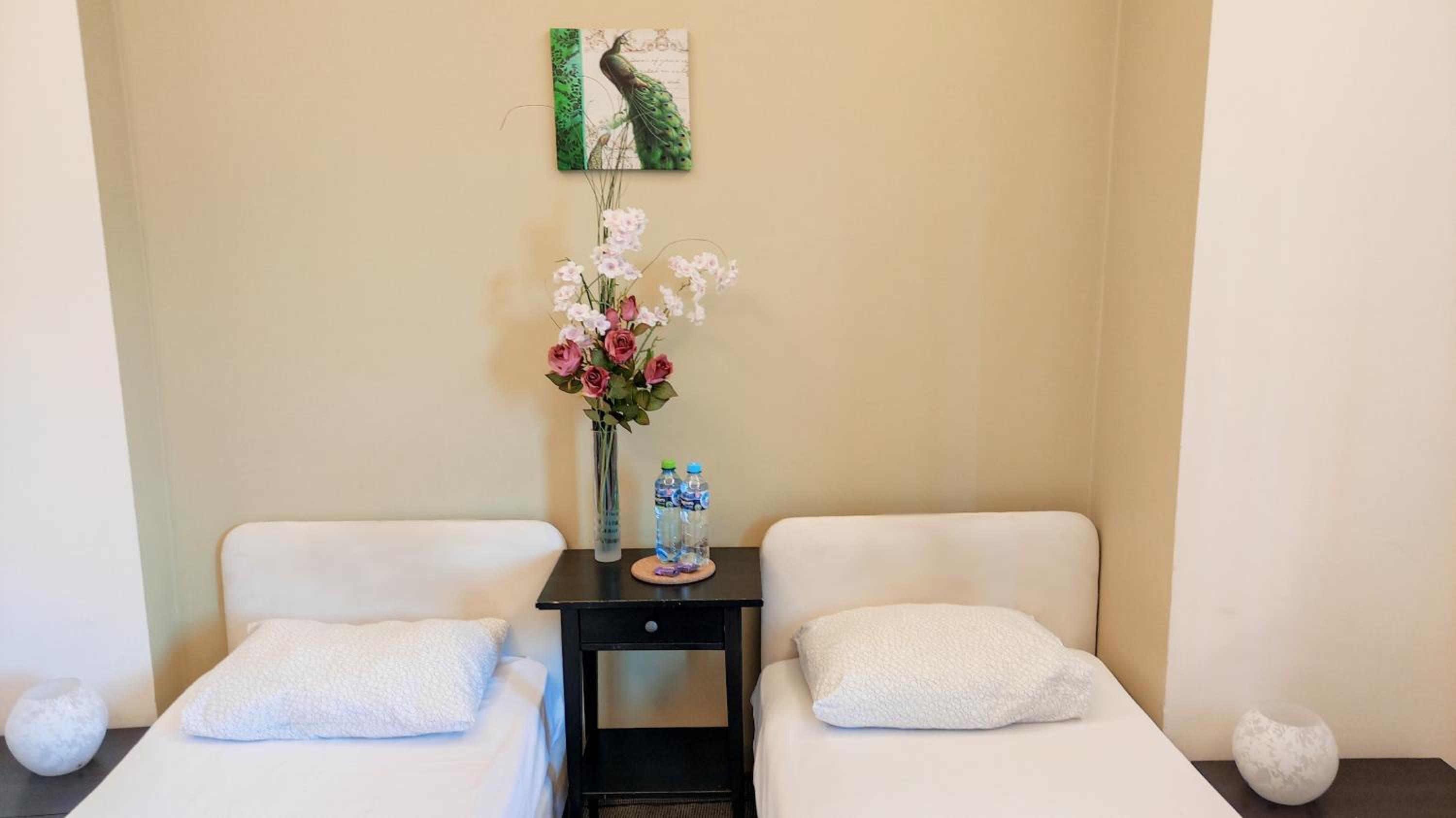 Helvetia Plus B&B - PRIVATE ROOMS and APARTMENTS