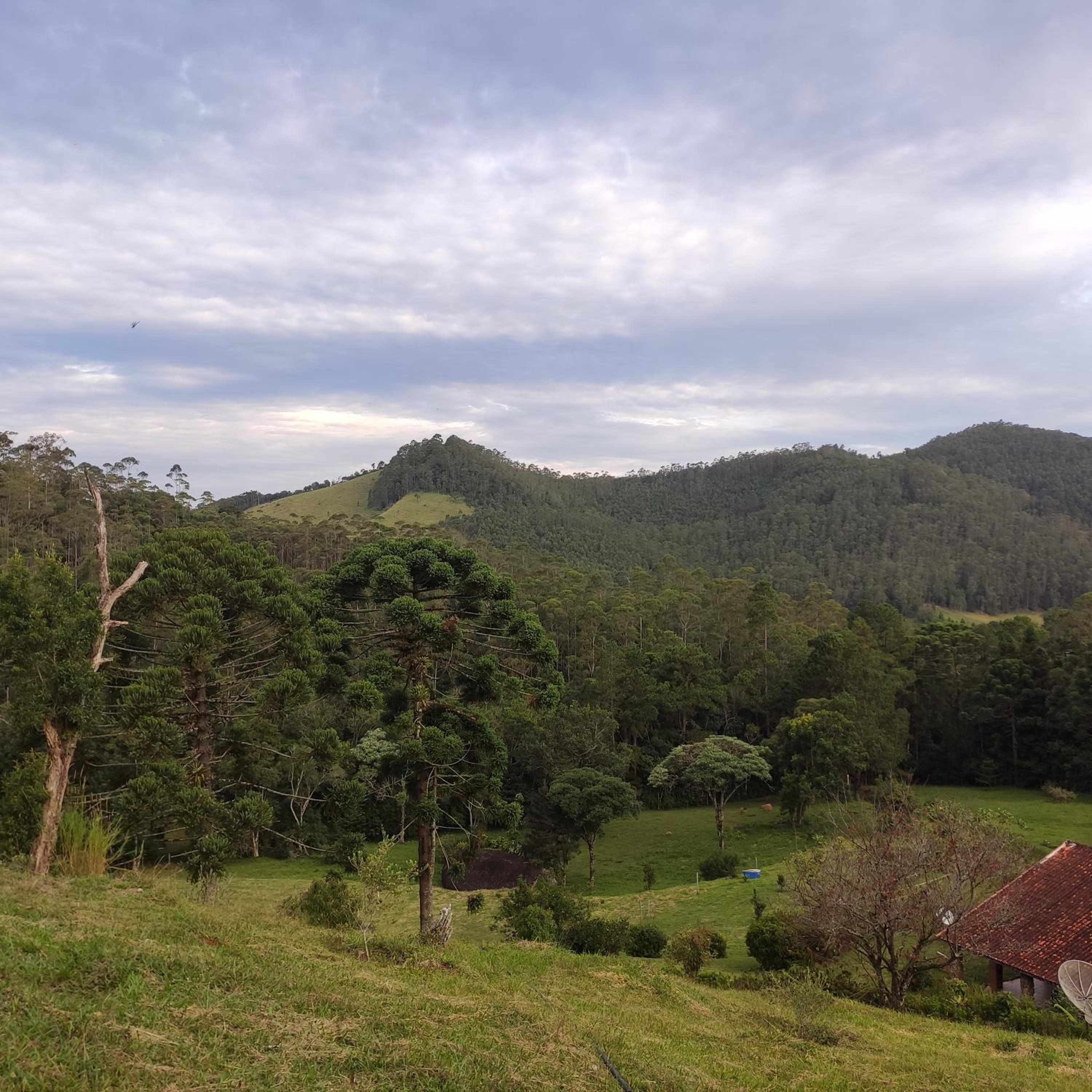 Sitio na Serra da Mantiqueira Águas do Canjarana