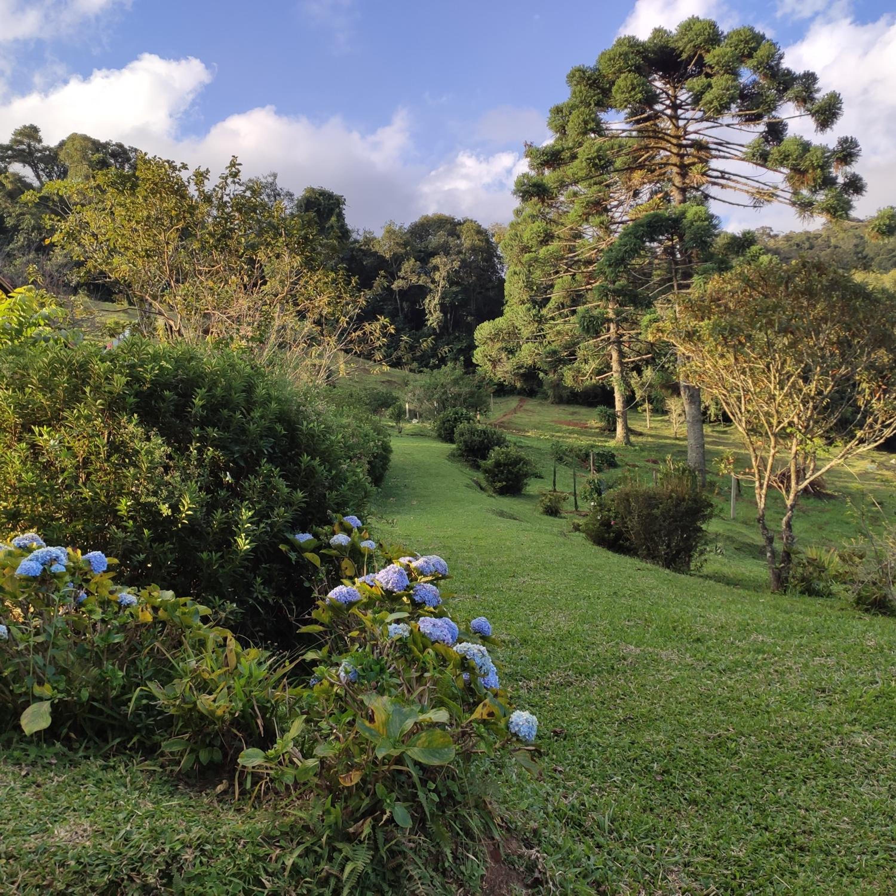 Sitio na Serra da Mantiqueira Águas do Canjarana