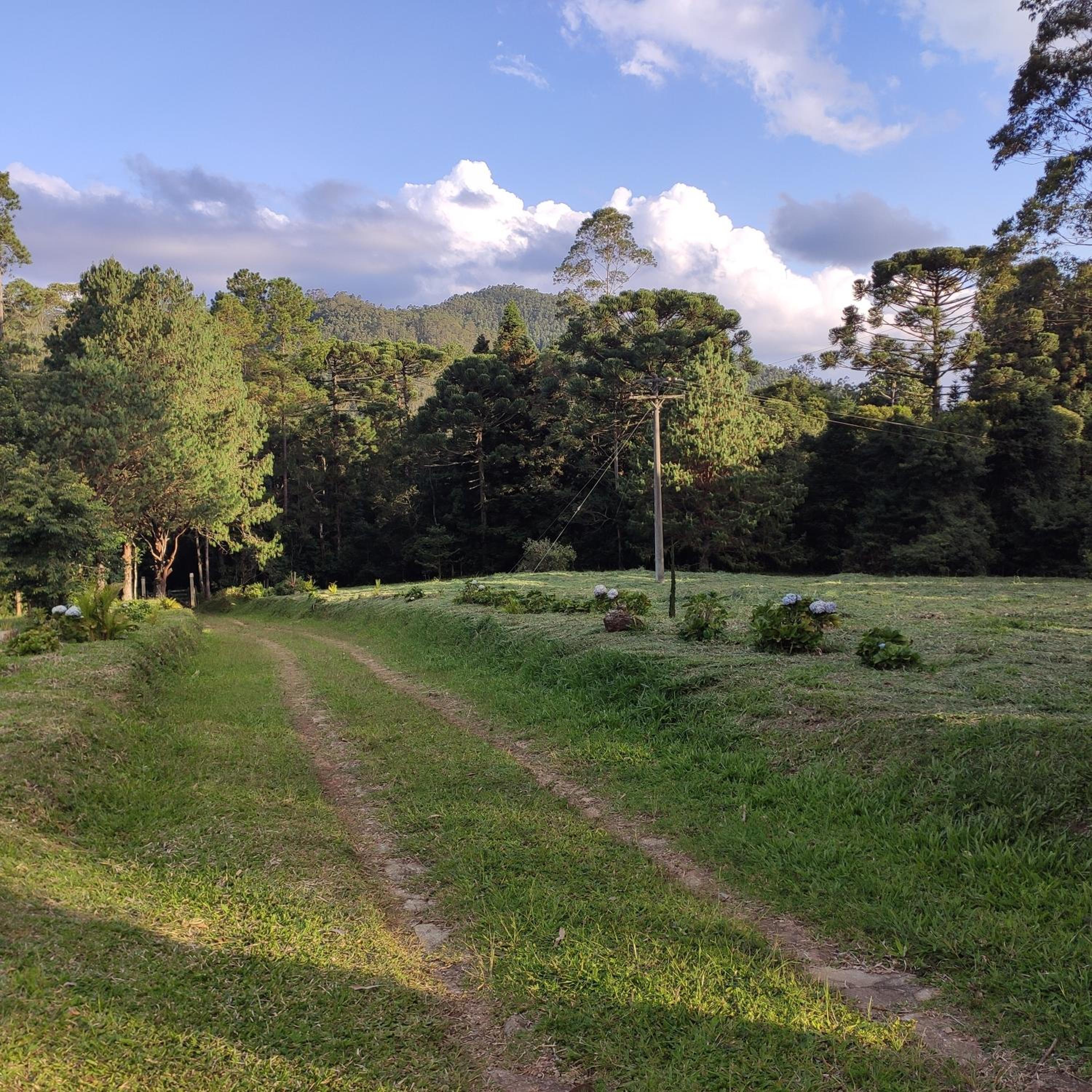 Sitio na Serra da Mantiqueira Águas do Canjarana