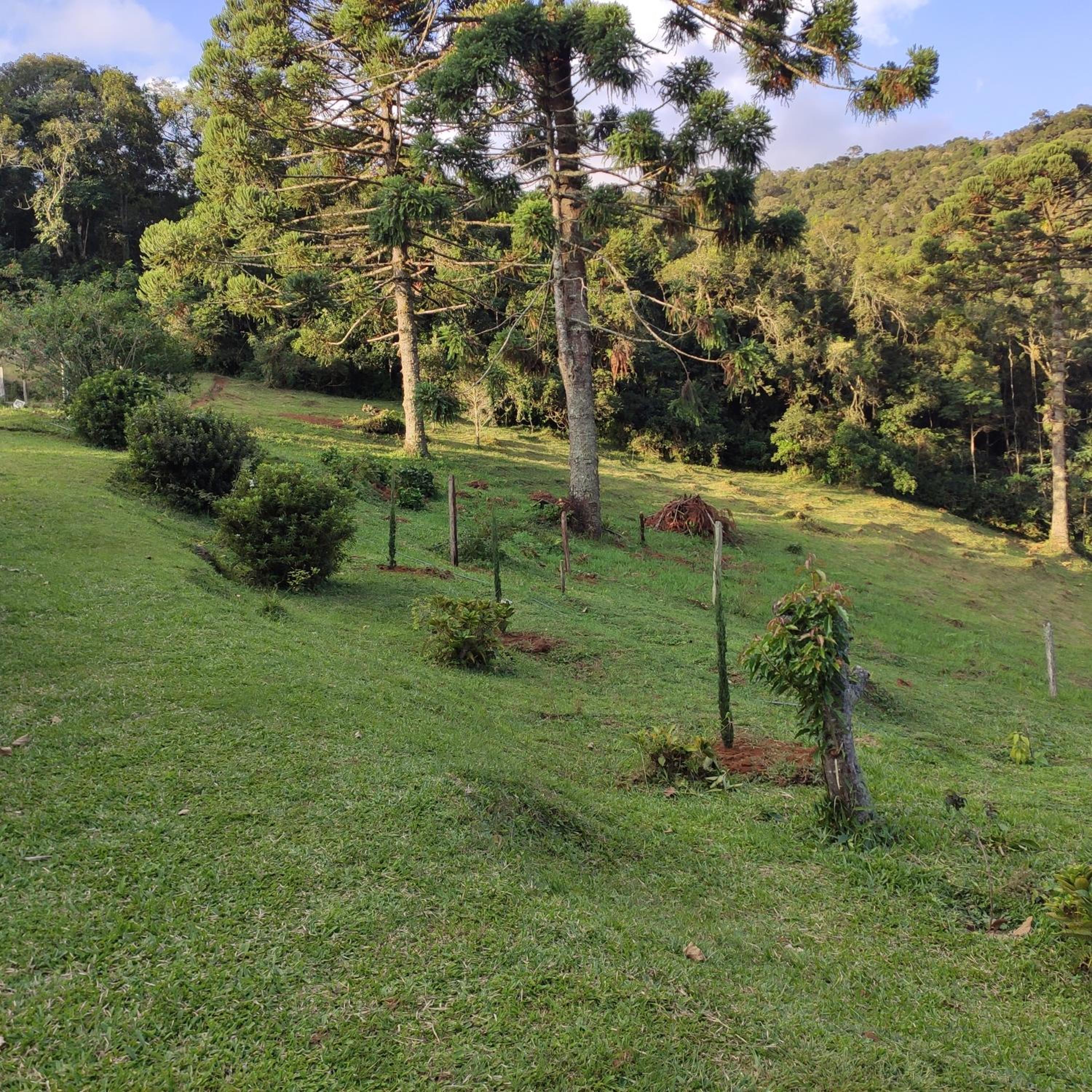 Sitio na Serra da Mantiqueira Águas do Canjarana