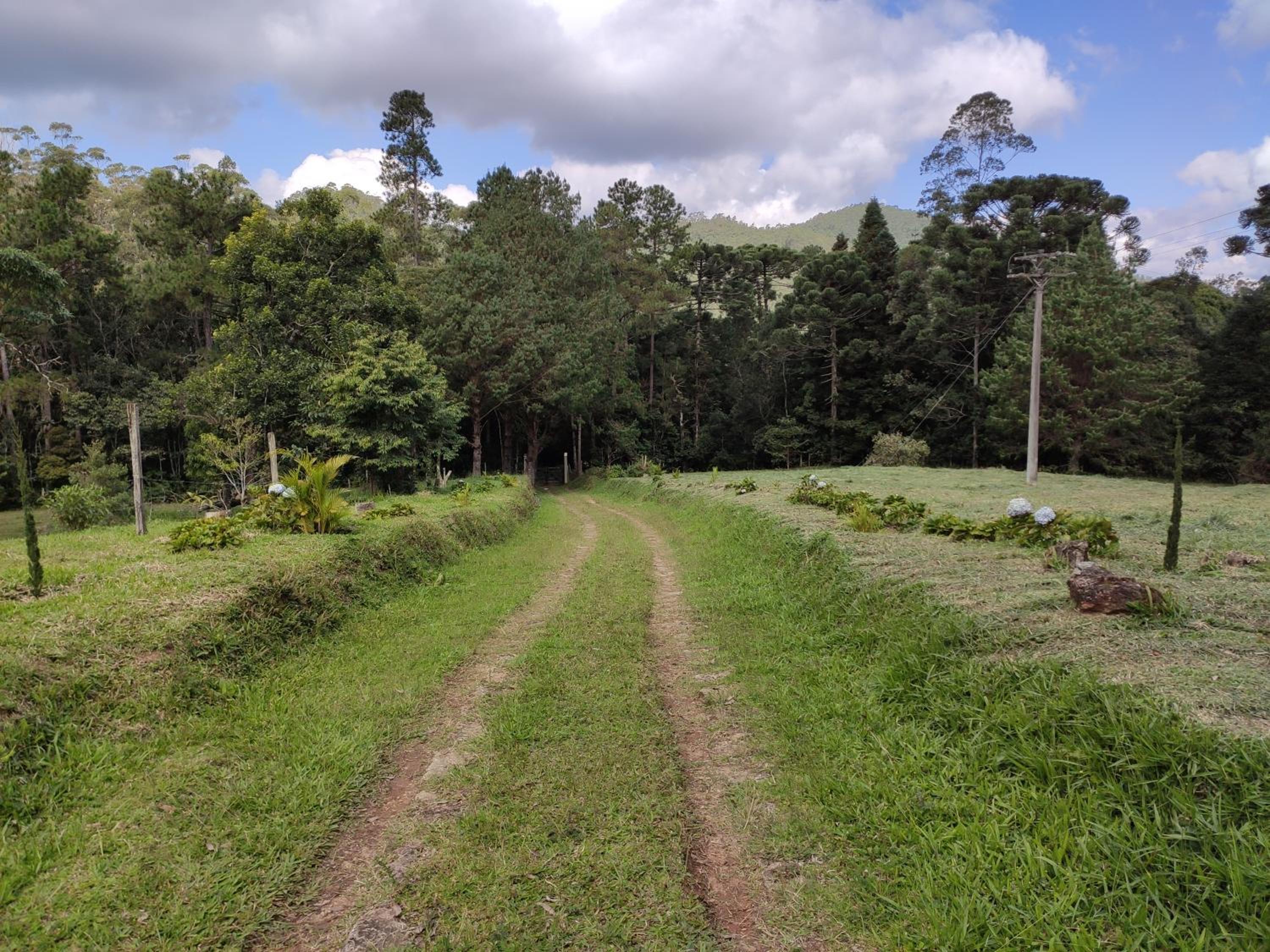 Sitio na Serra da Mantiqueira Águas do Canjarana