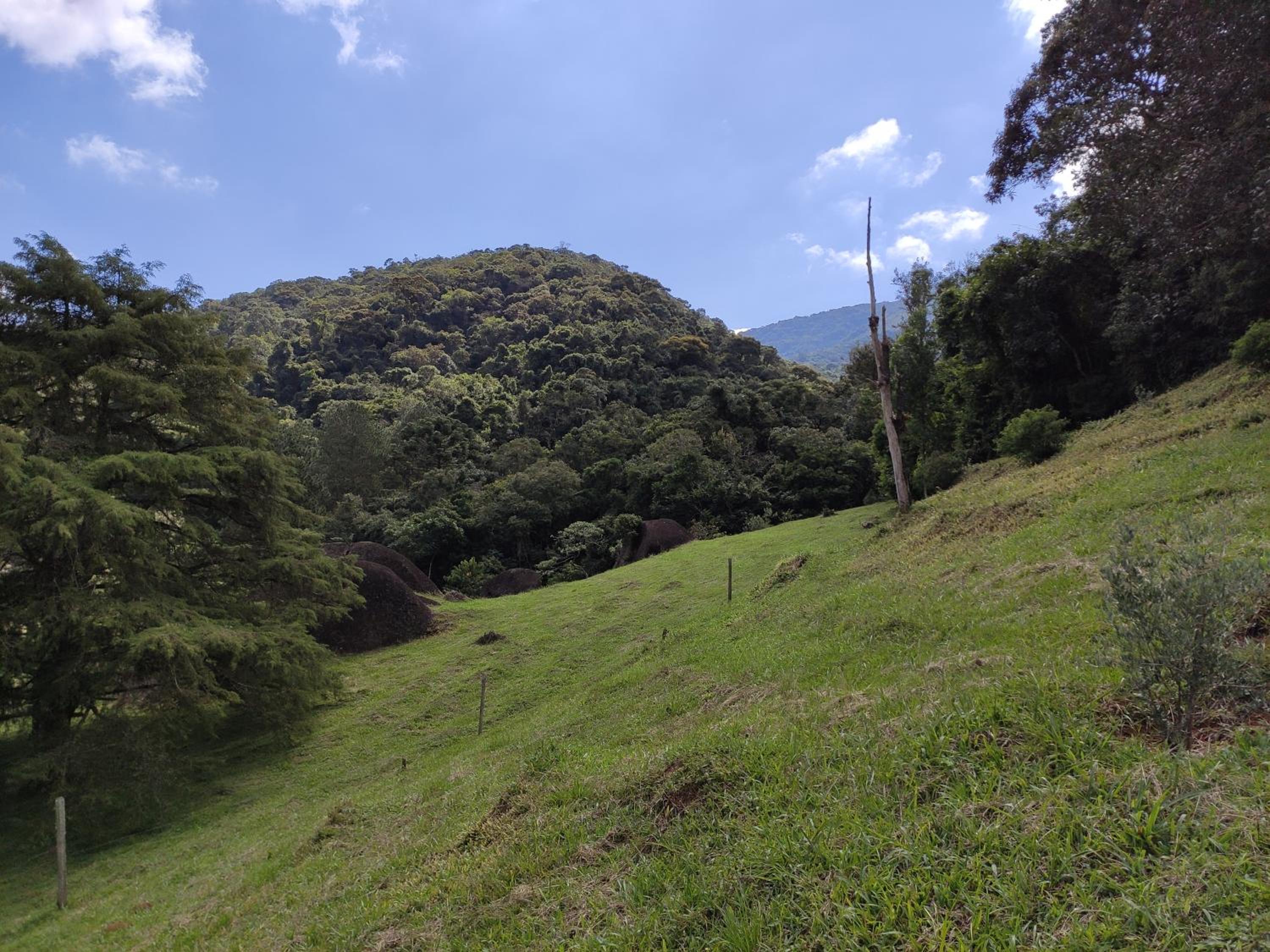 Sitio na Serra da Mantiqueira Águas do Canjarana