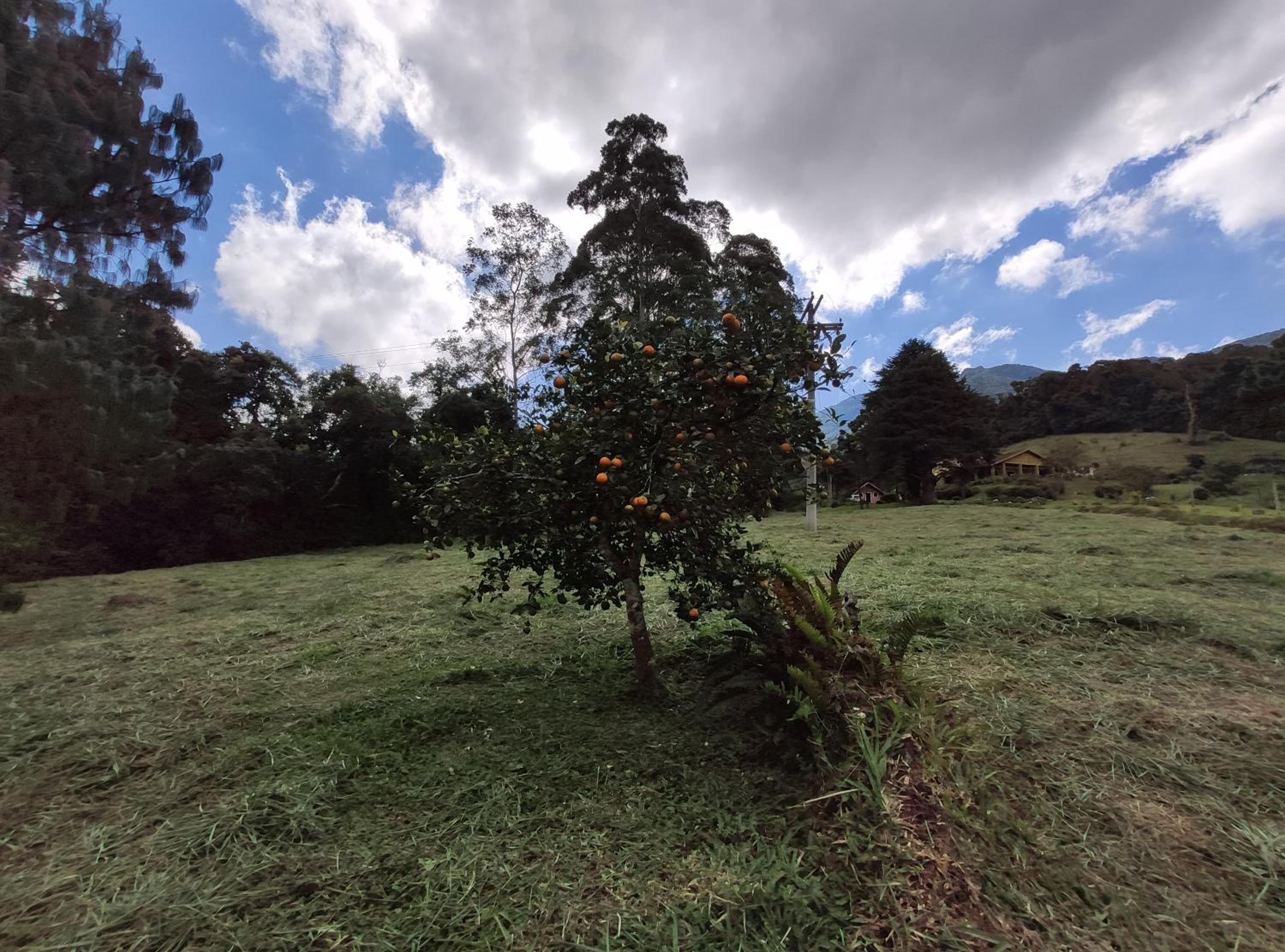 Sitio na Serra da Mantiqueira Águas do Canjarana