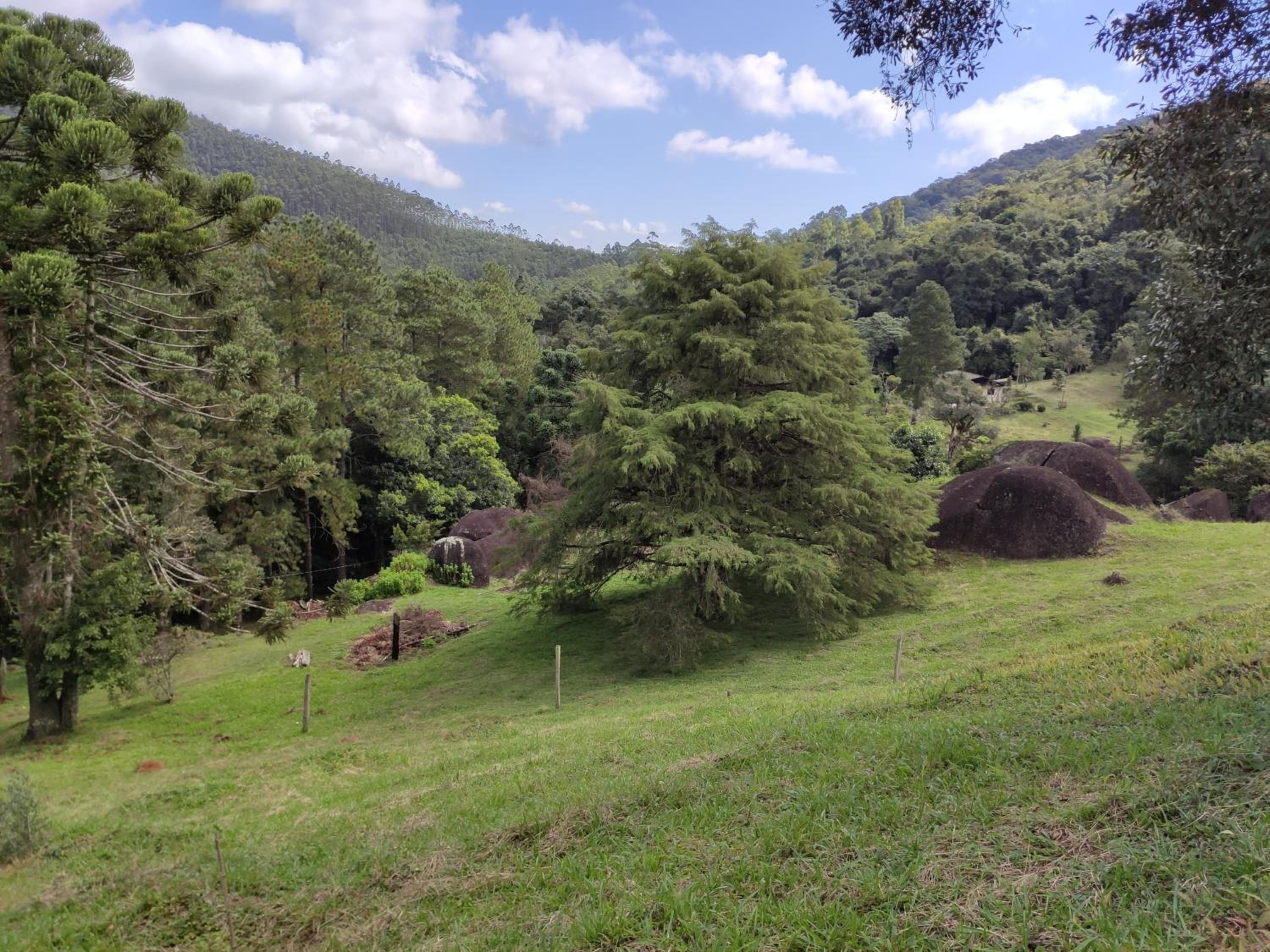 Sitio na Serra da Mantiqueira Águas do Canjarana