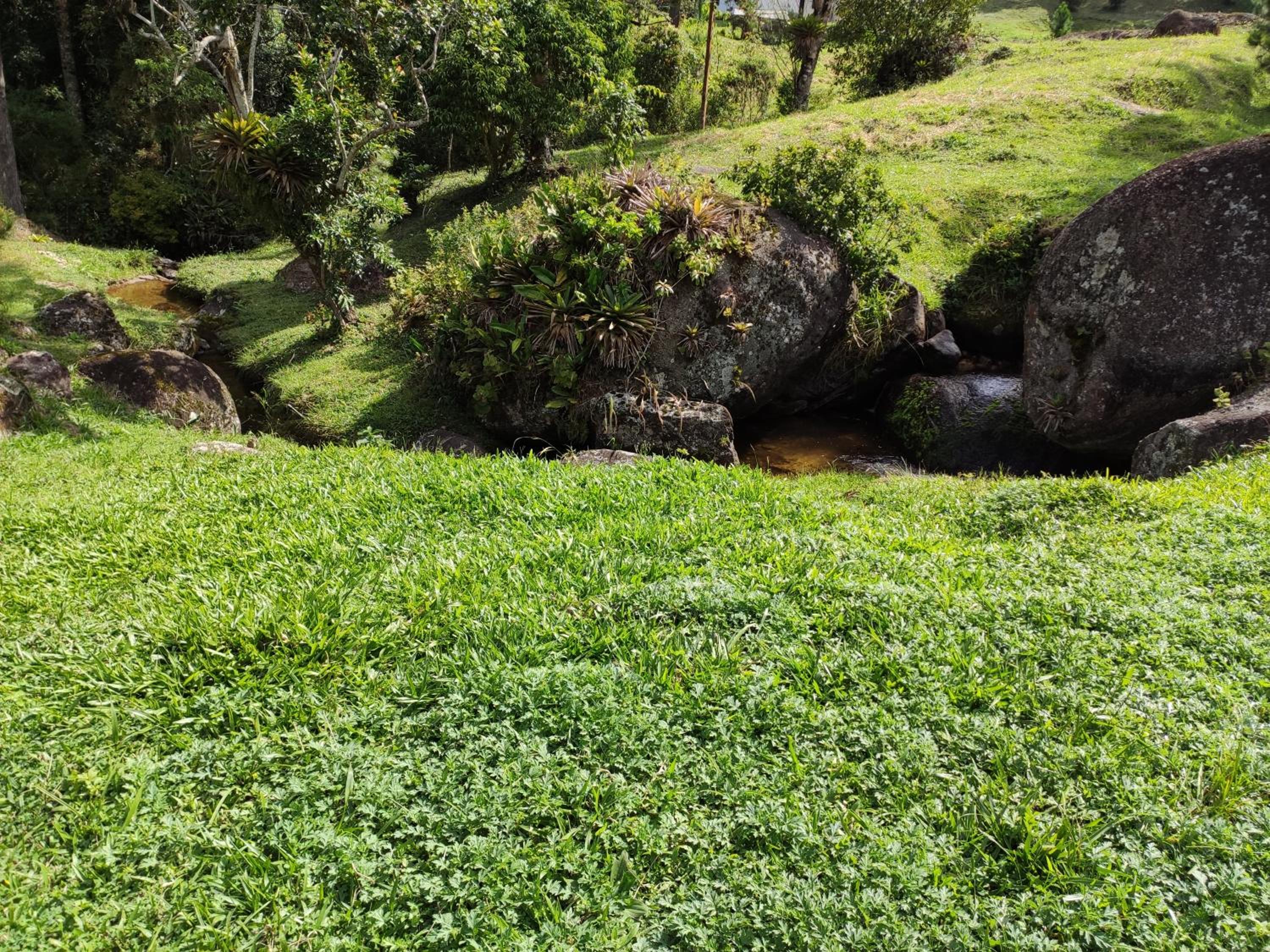 Sitio na Serra da Mantiqueira Águas do Canjarana