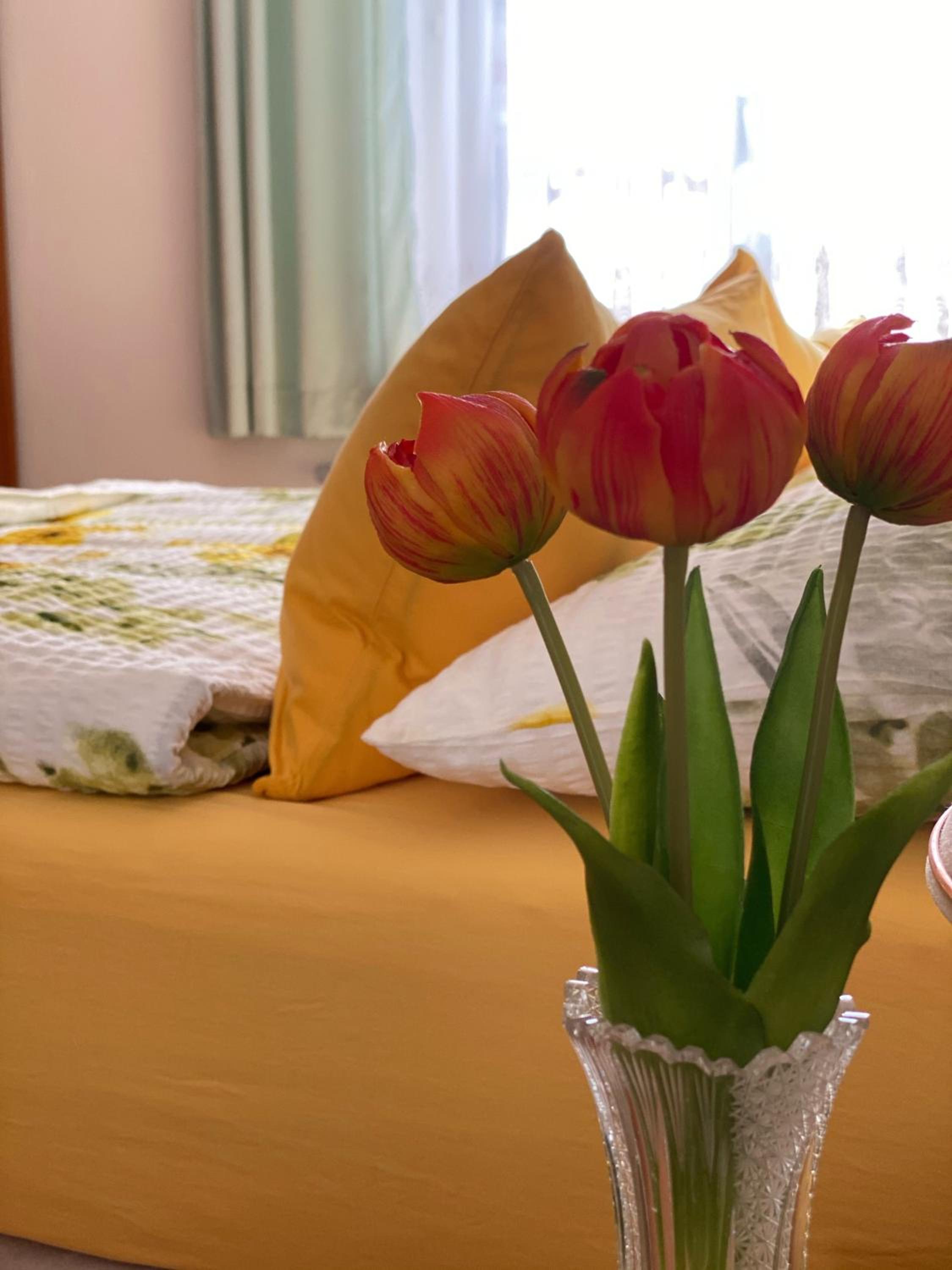 ALTSTADT-APARTMENTS Bad Radkersburg - Ihr Zuhause auf Reisen