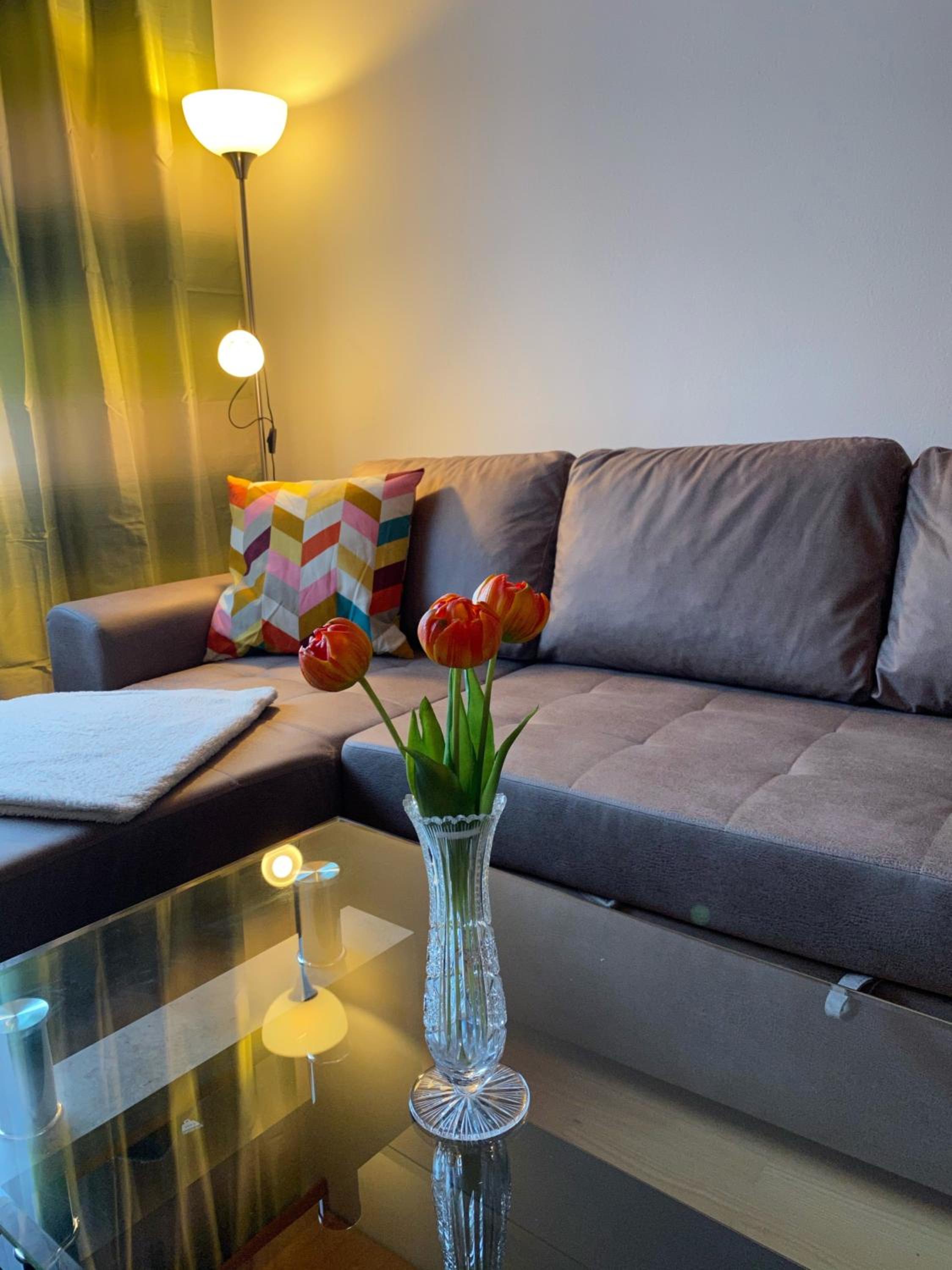 ALTSTADT-APARTMENTS Bad Radkersburg - Ihr Zuhause auf Reisen