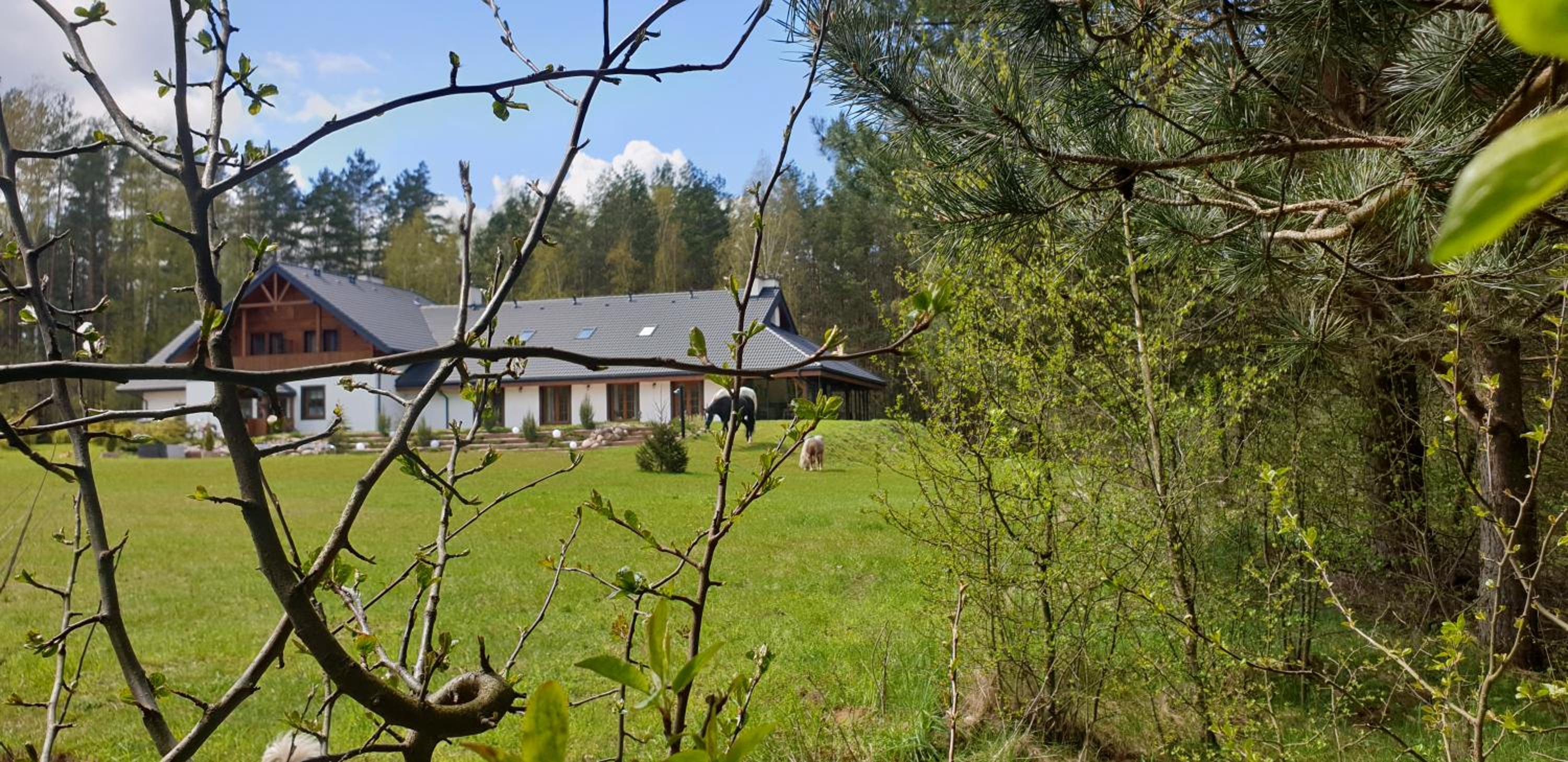 Photo 43