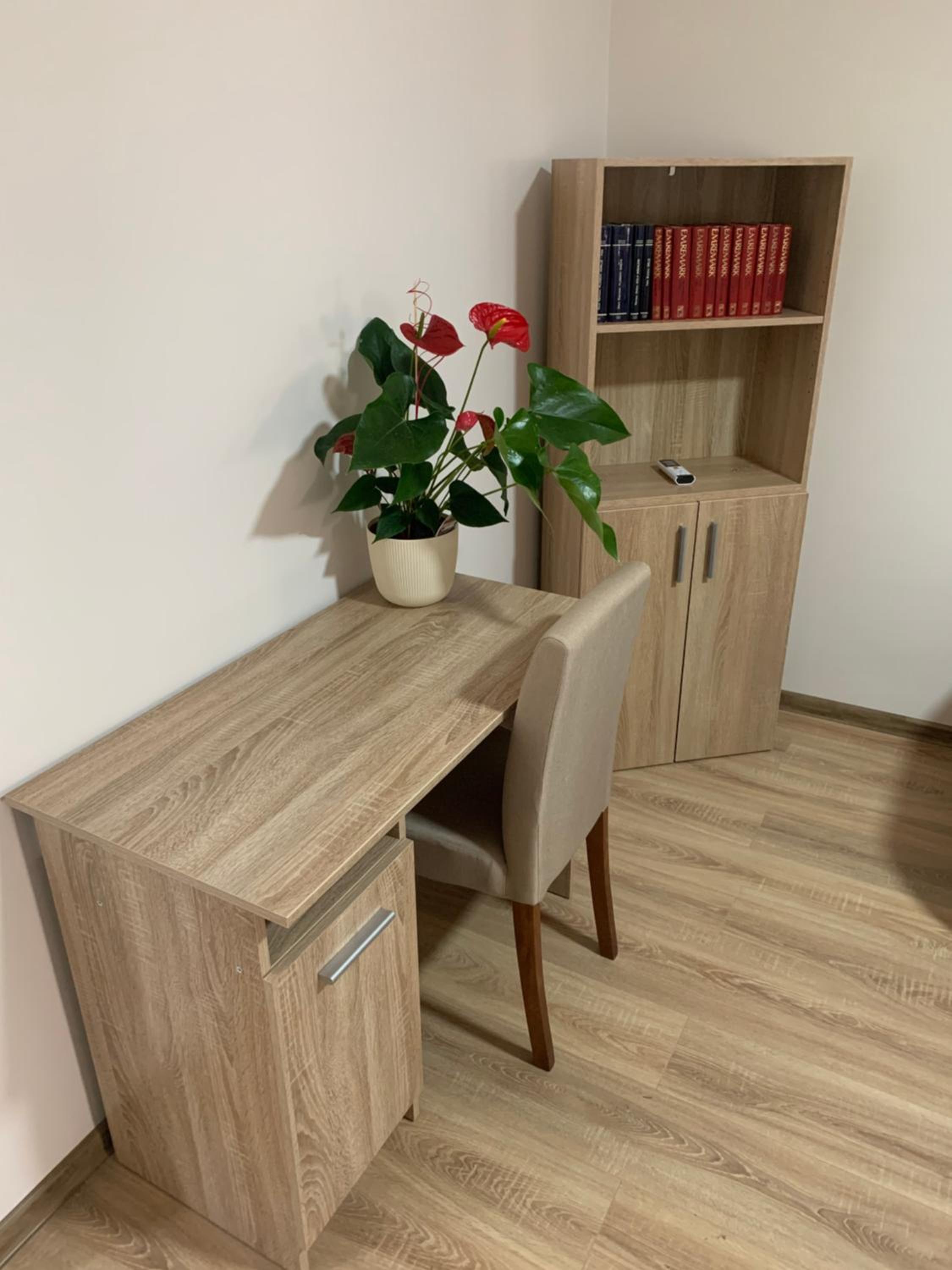 Apartman Zmaj view 3