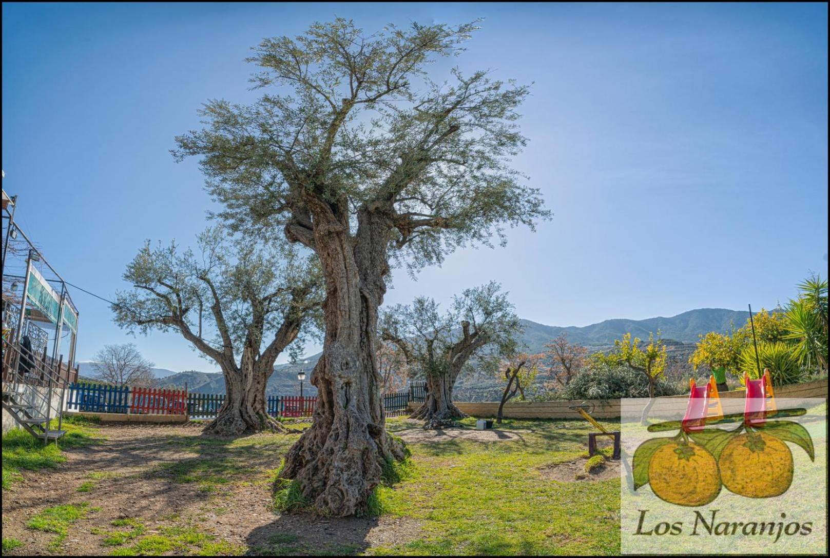 Hostal y Apartamento Rural Los Naranjos