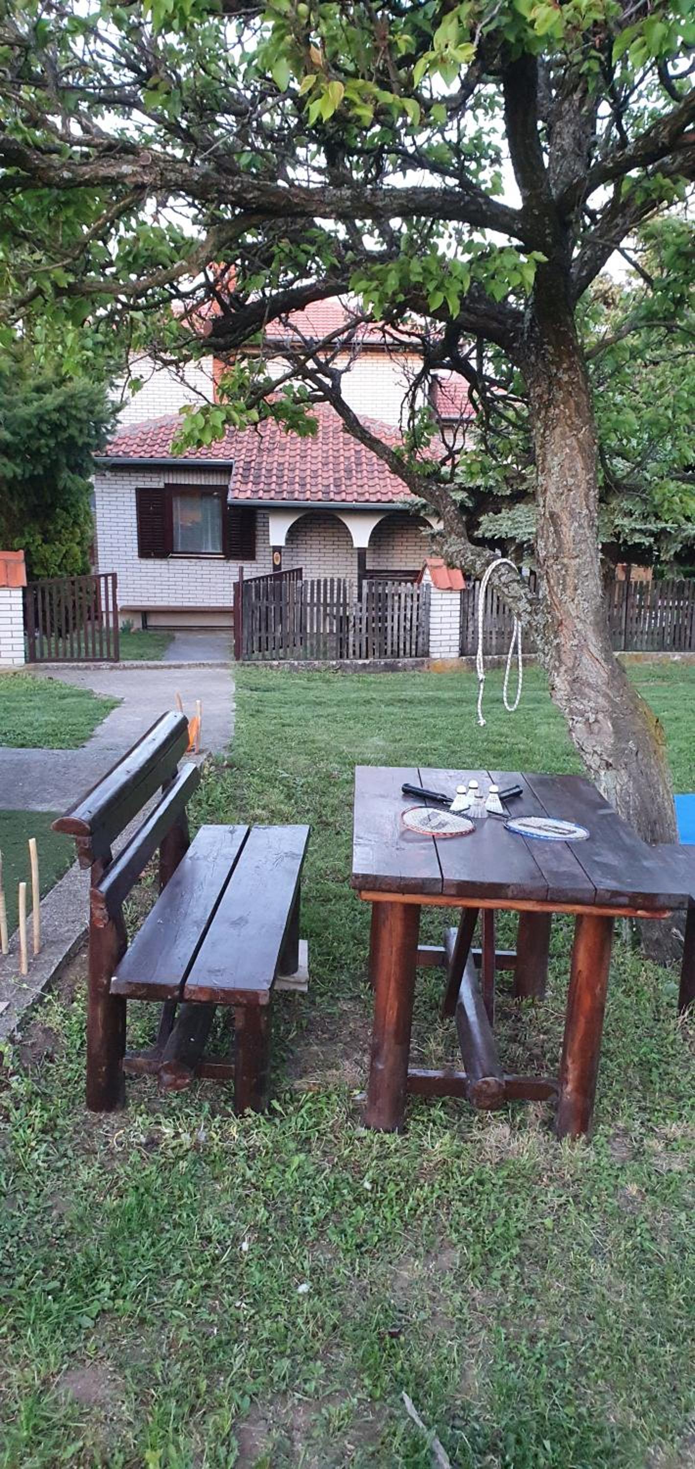 Photo 11